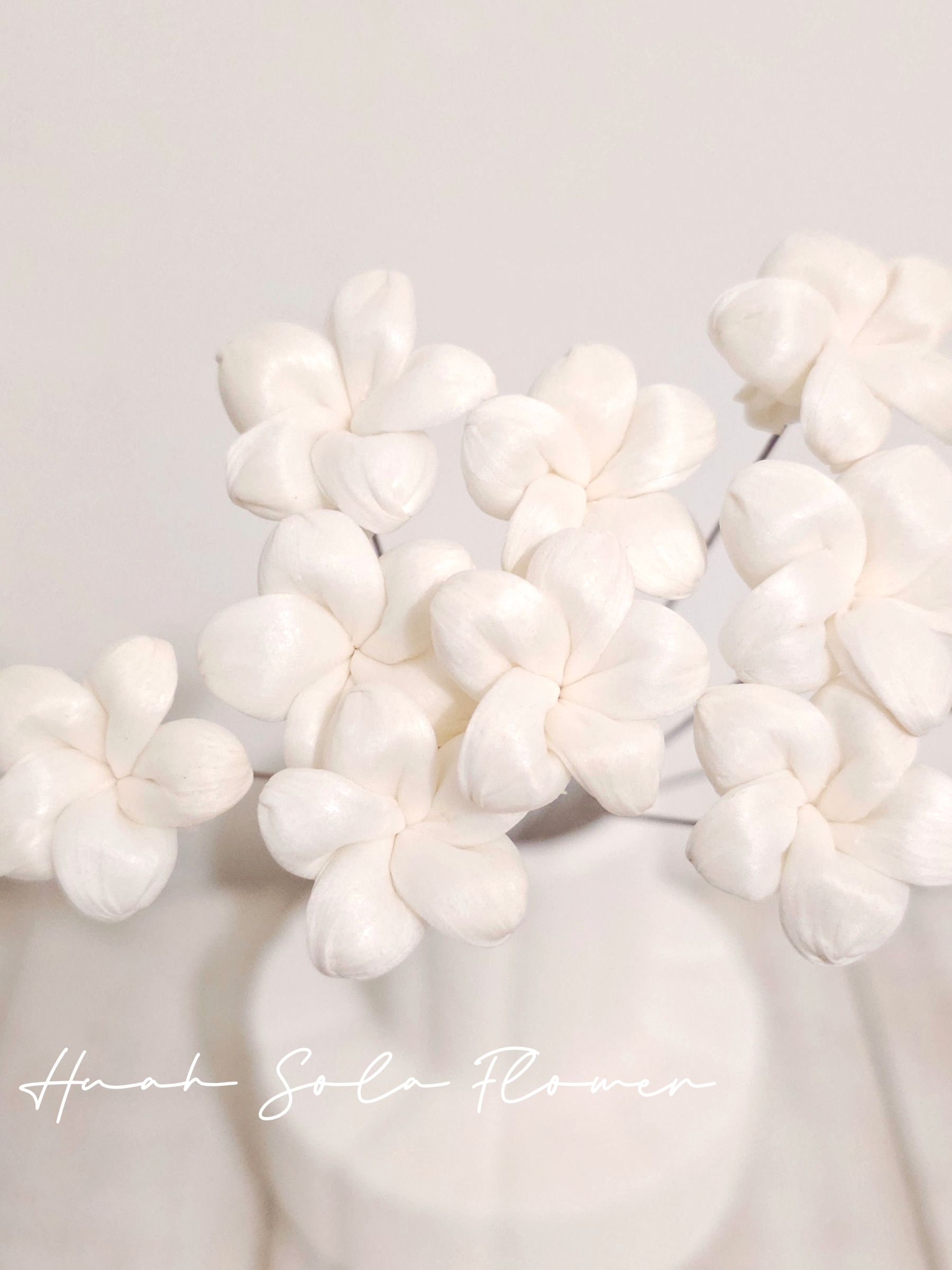 1000030527_batch_5_1757090111279