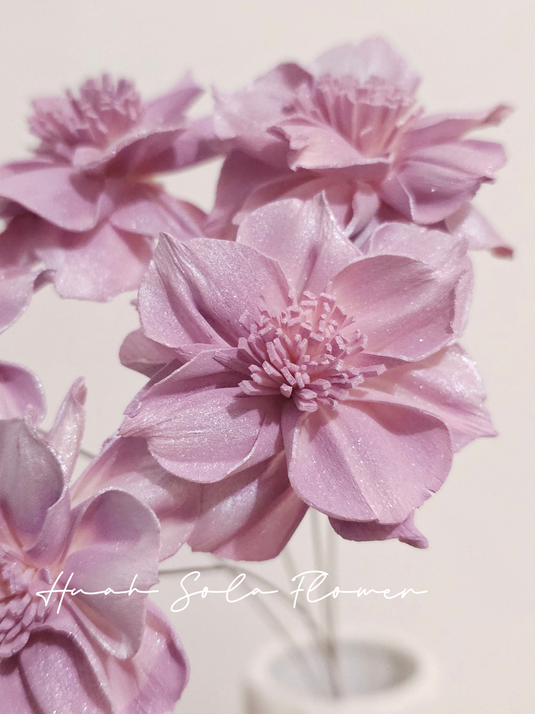 1000030533_batch_10_1757090113870