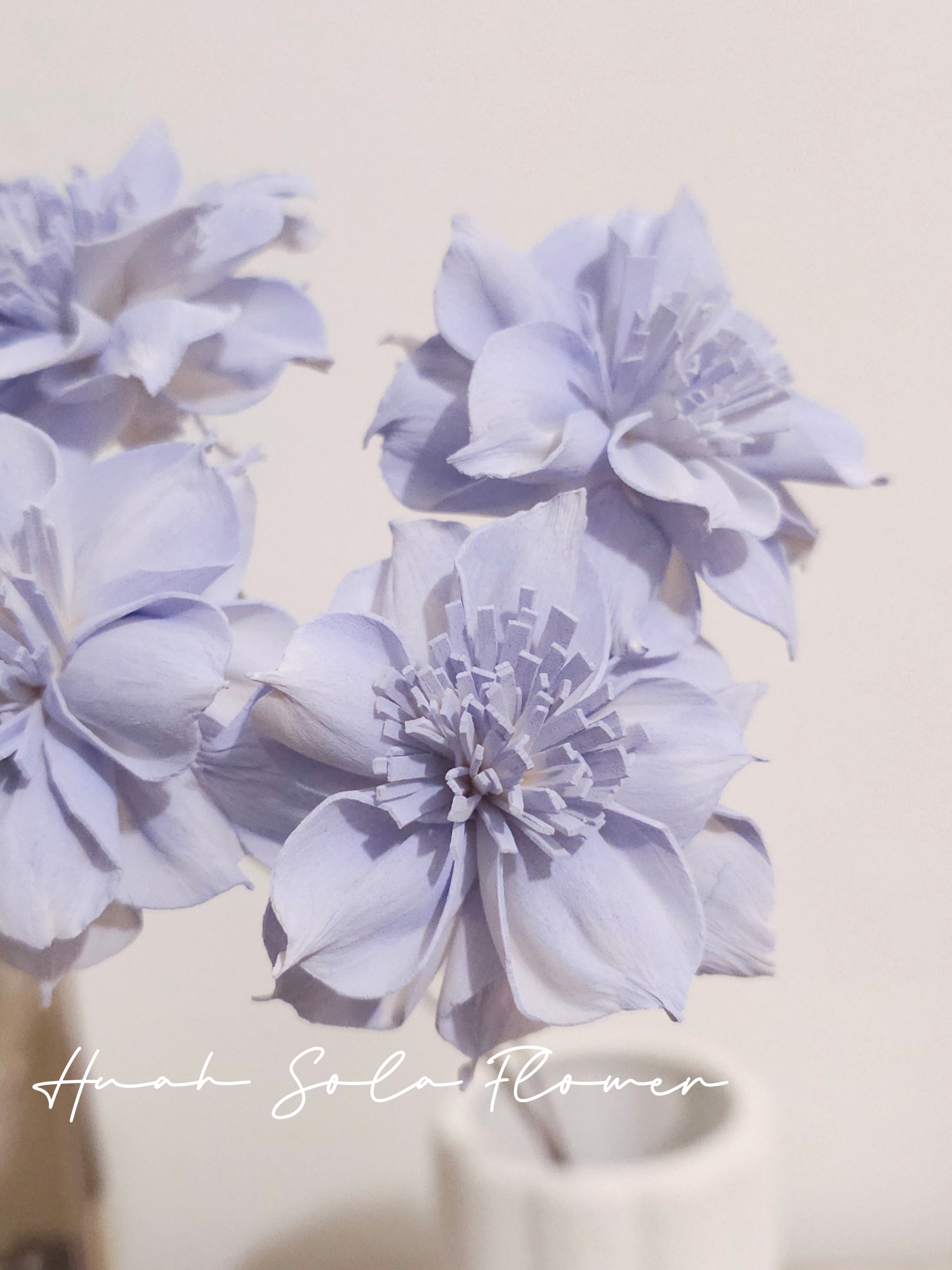 1000030538_batch_3_1757090535302