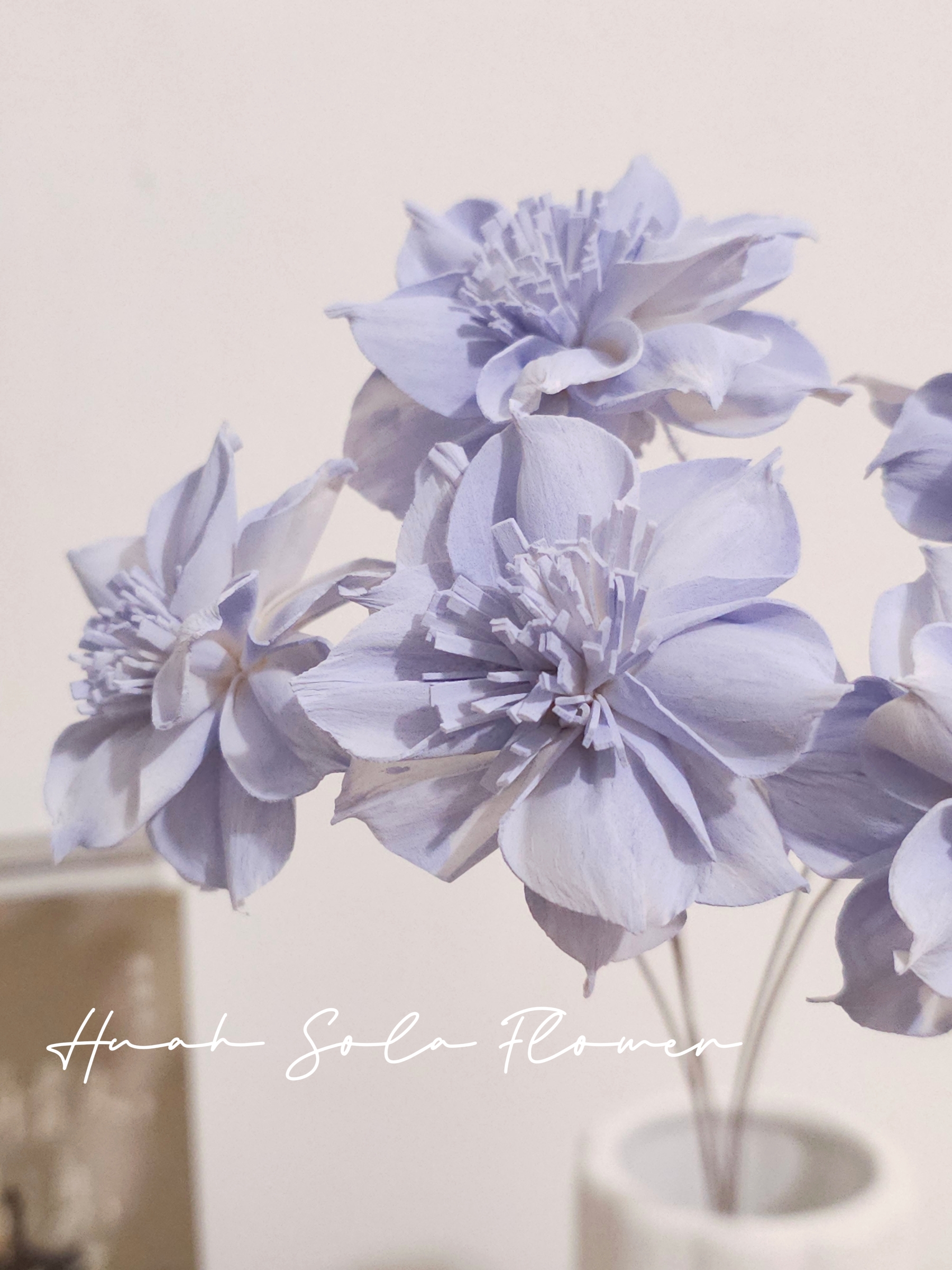 1000030536_batch_1_1757090534263