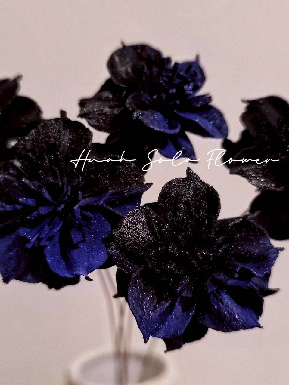 LINE_ALBUM_官網2_250908_4