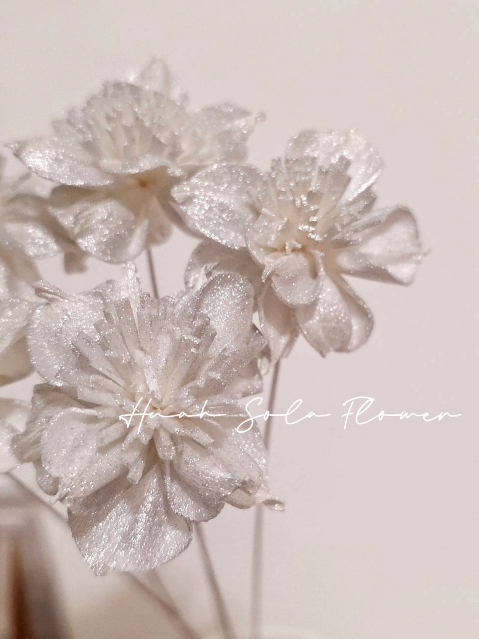 LINE_ALBUM_官網2_250908_10