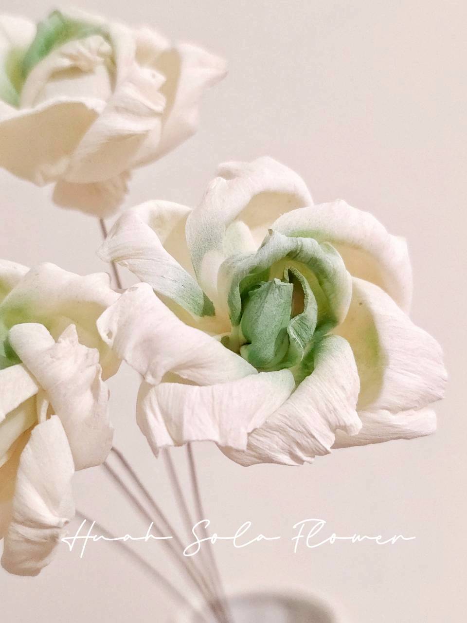 LINE_ALBUM_官網2_250908_20