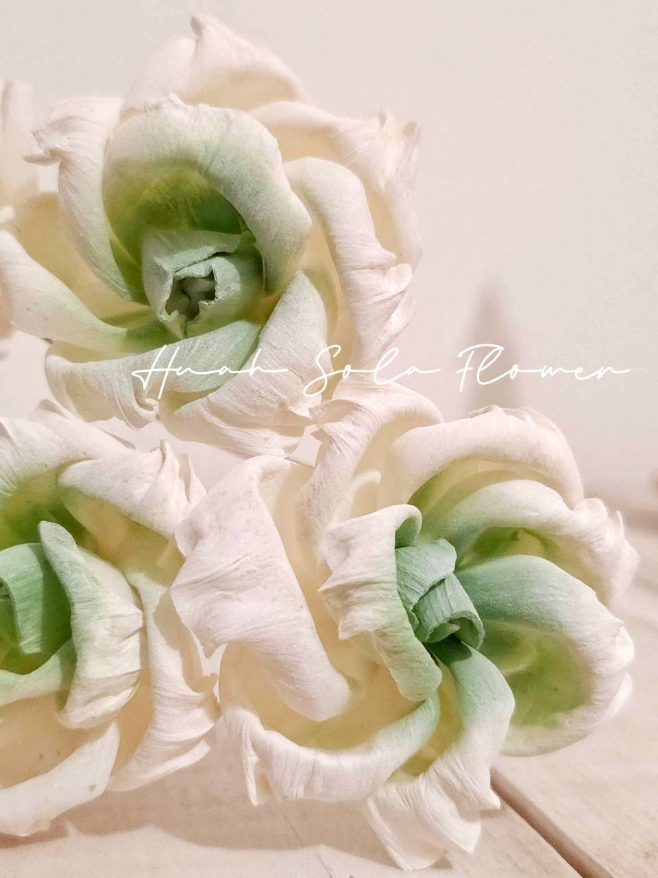 LINE_ALBUM_官網2_250908_21