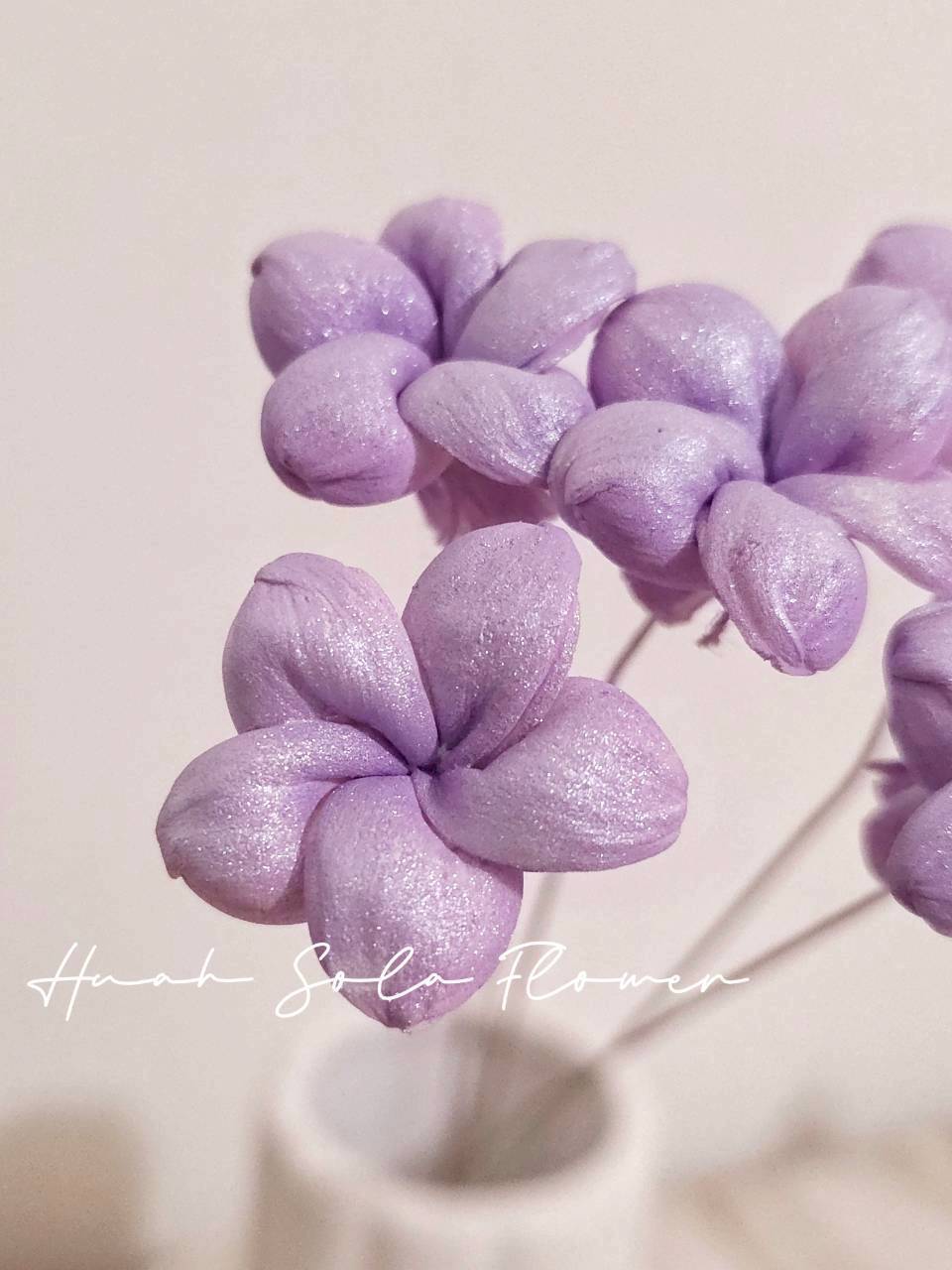 LINE_ALBUM_官網2_250908_25