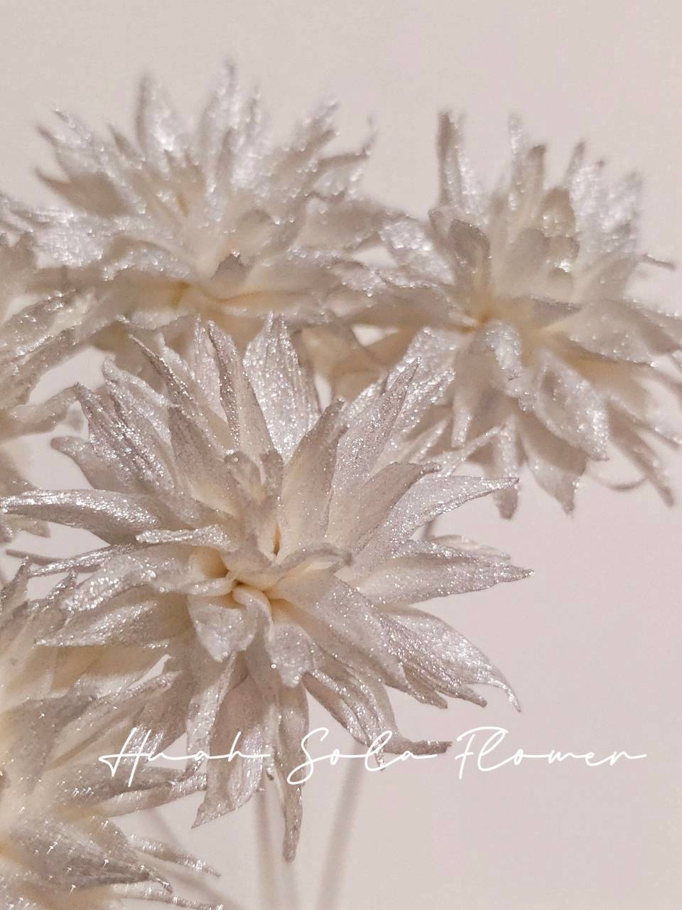 LINE_ALBUM_官網2_250908_29