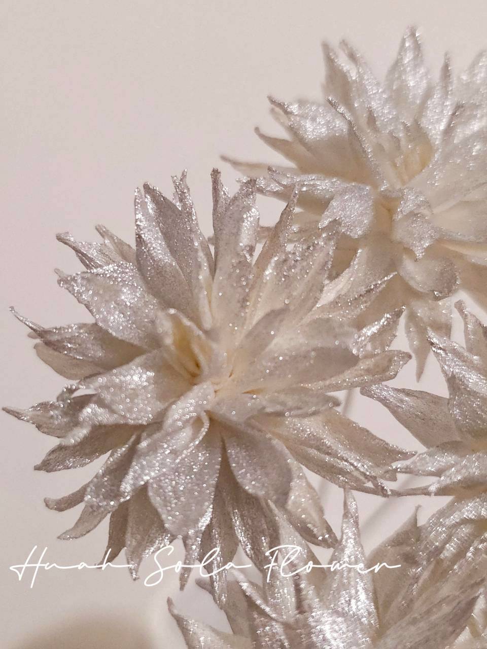 LINE_ALBUM_官網2_250908_30