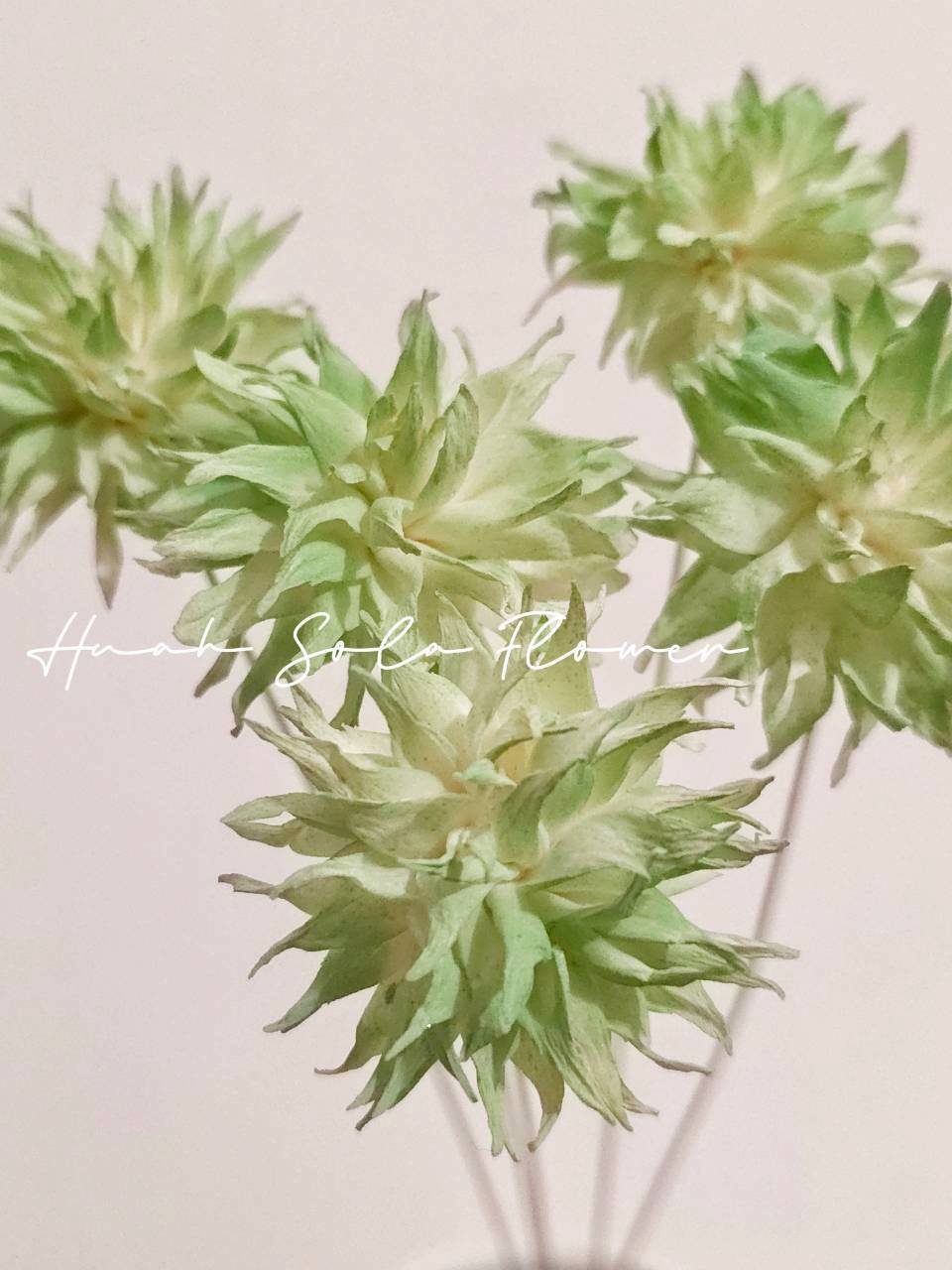 LINE_ALBUM_官網2_250908_28