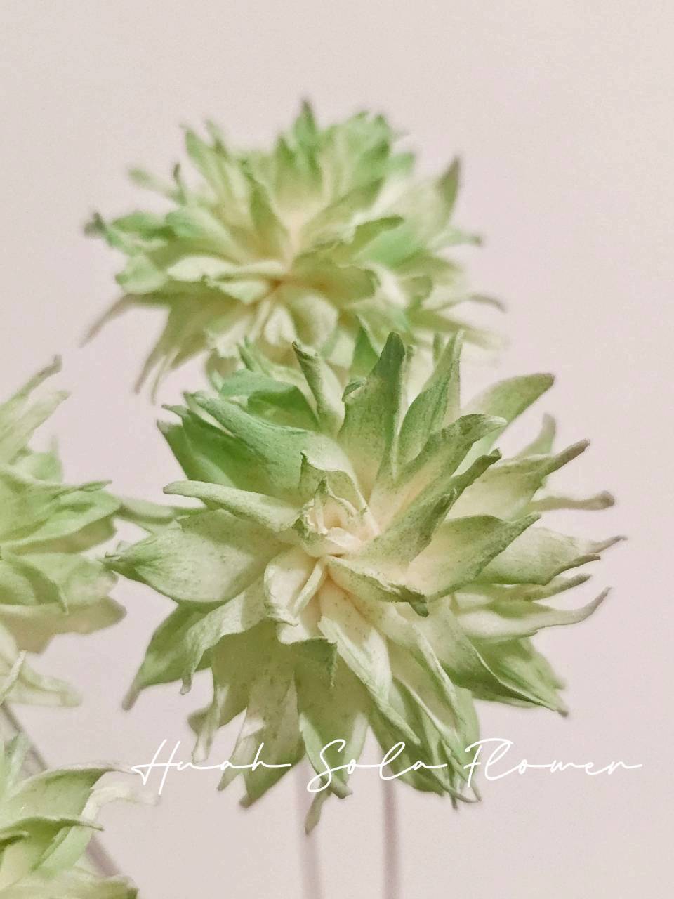 LINE_ALBUM_官網2_250908_27