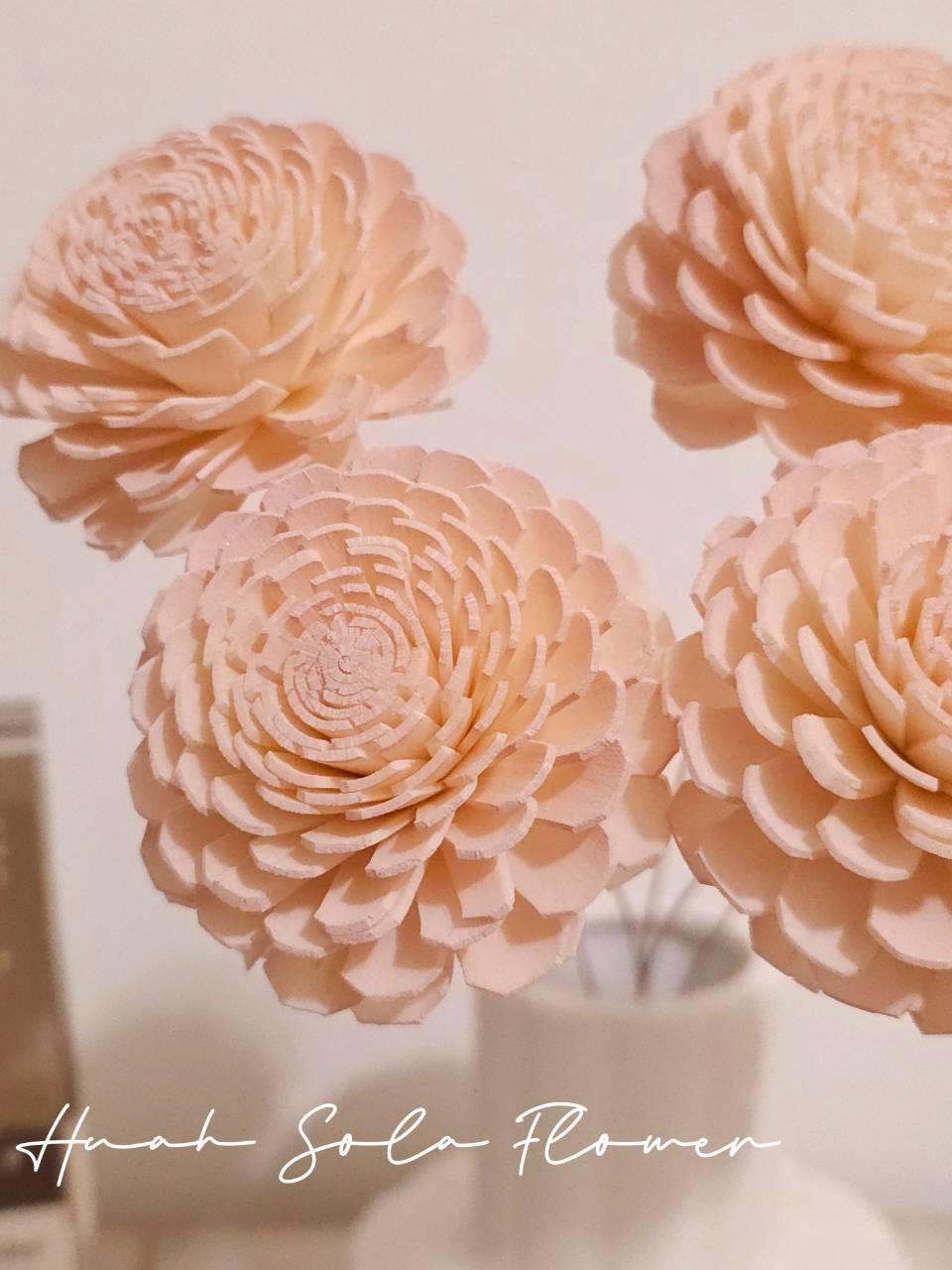 粉色 太陽玫瑰 噴染 水染 索拉花 乾燥花 批發 婚禮 花束 DIY 材料