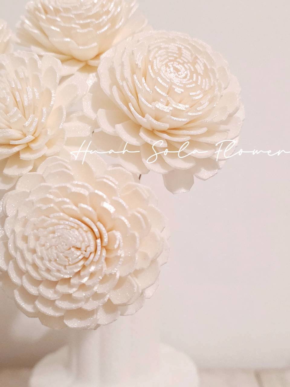 白色 太陽玫瑰 噴染 水染 索拉花 乾燥花 批發 婚禮 花束 DIY 材料