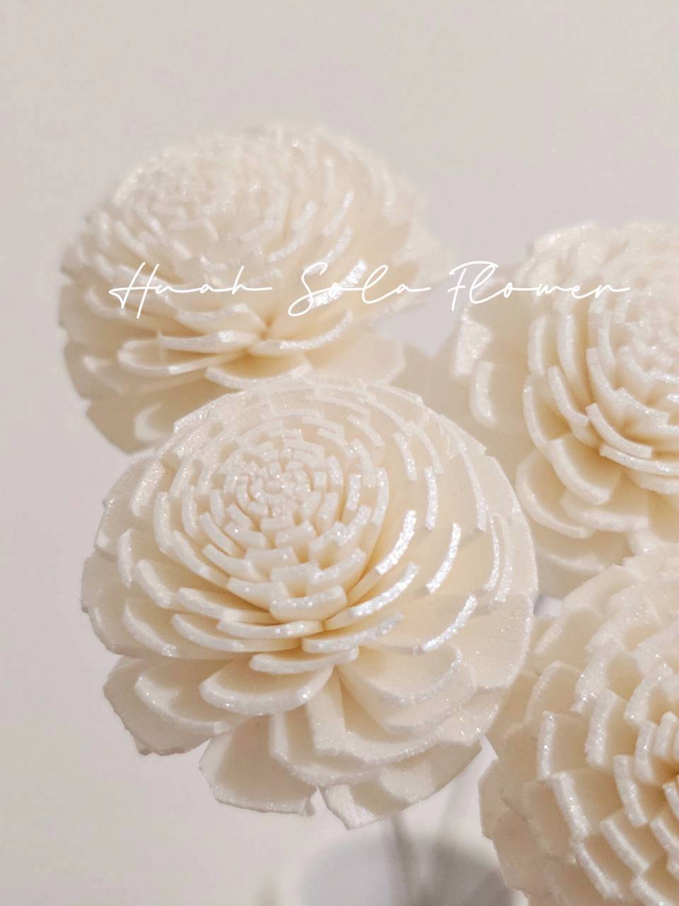 白色 太陽玫瑰 噴染 水染 索拉花 乾燥花 批發 婚禮 花束 DIY 材料