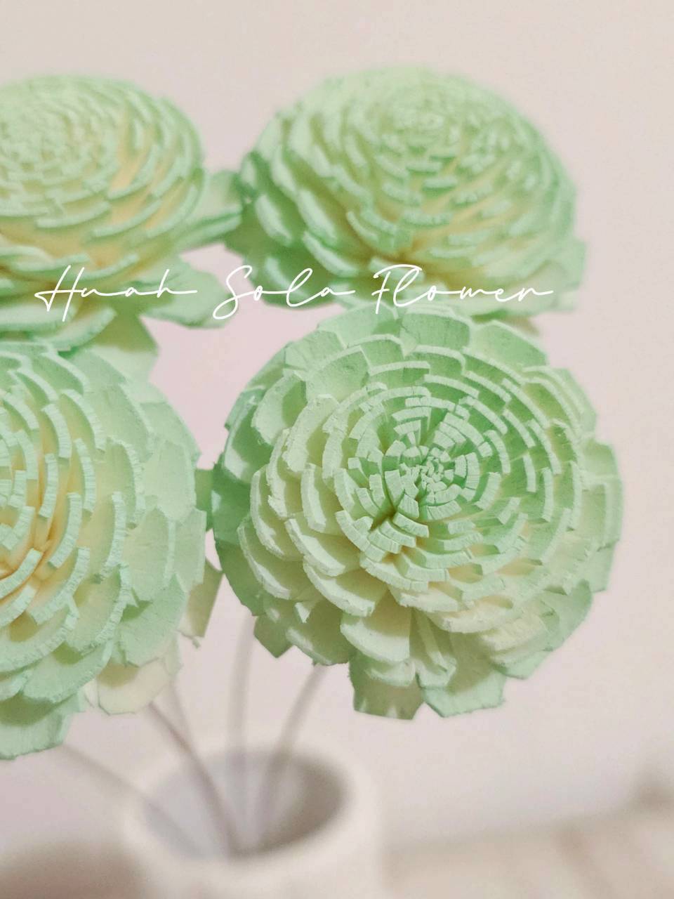 綠色 太陽玫瑰 噴染 水染 索拉花 乾燥花 批發 婚禮 花束 DIY 材料