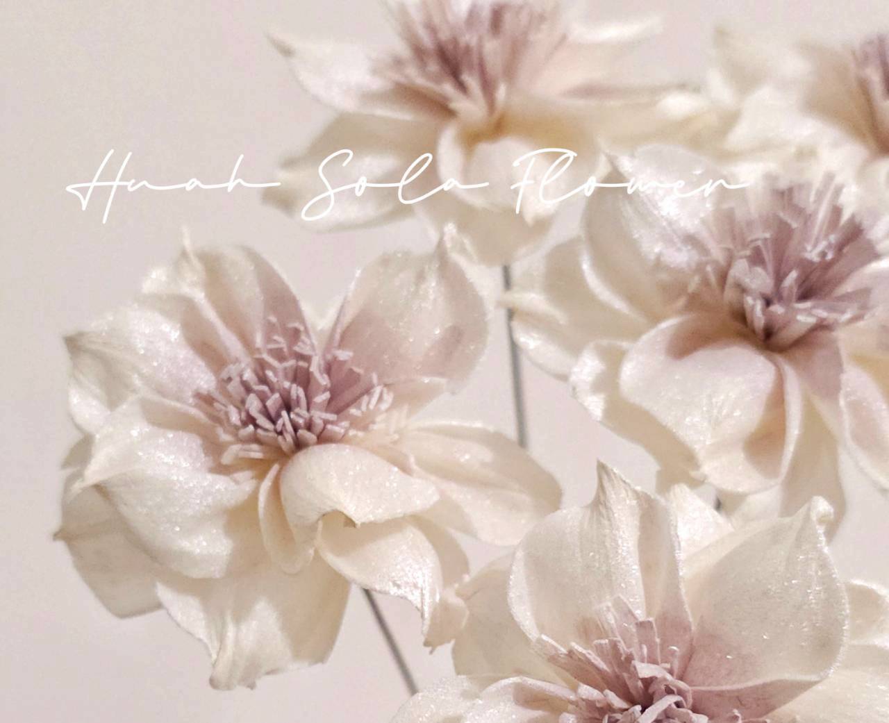 紫色 水仙 噴染 水染 索拉花 乾燥花 批發 婚禮 花束 DIY 材料