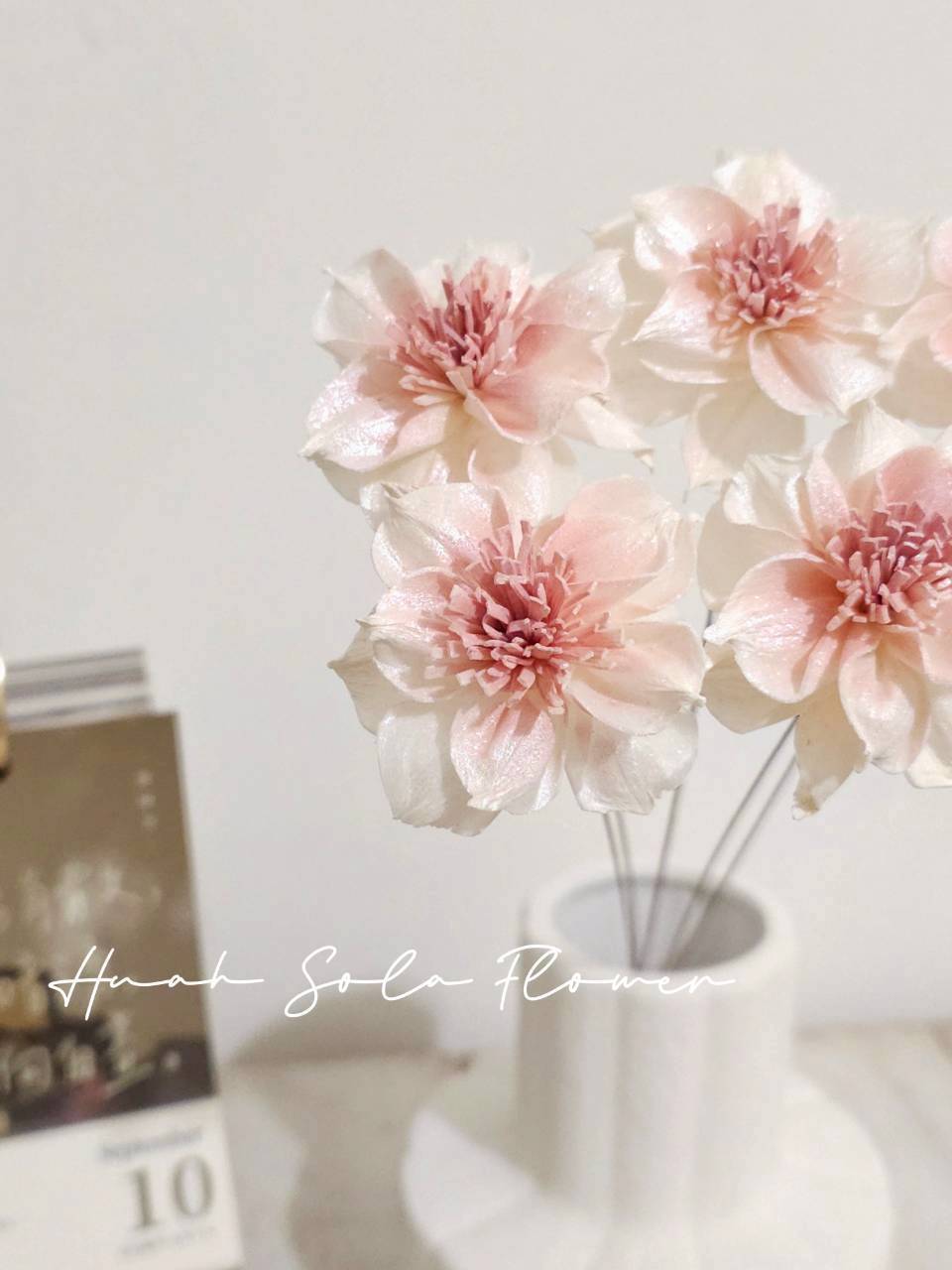 粉色 水仙 噴染 水染 索拉花 乾燥花 批發 婚禮 花束 DIY 材料