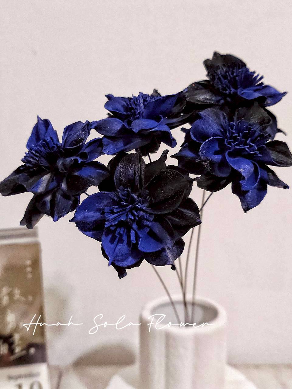 撞色 水仙 噴染 水染 索拉花 乾燥花 批發 婚禮 花束 DIY 材料