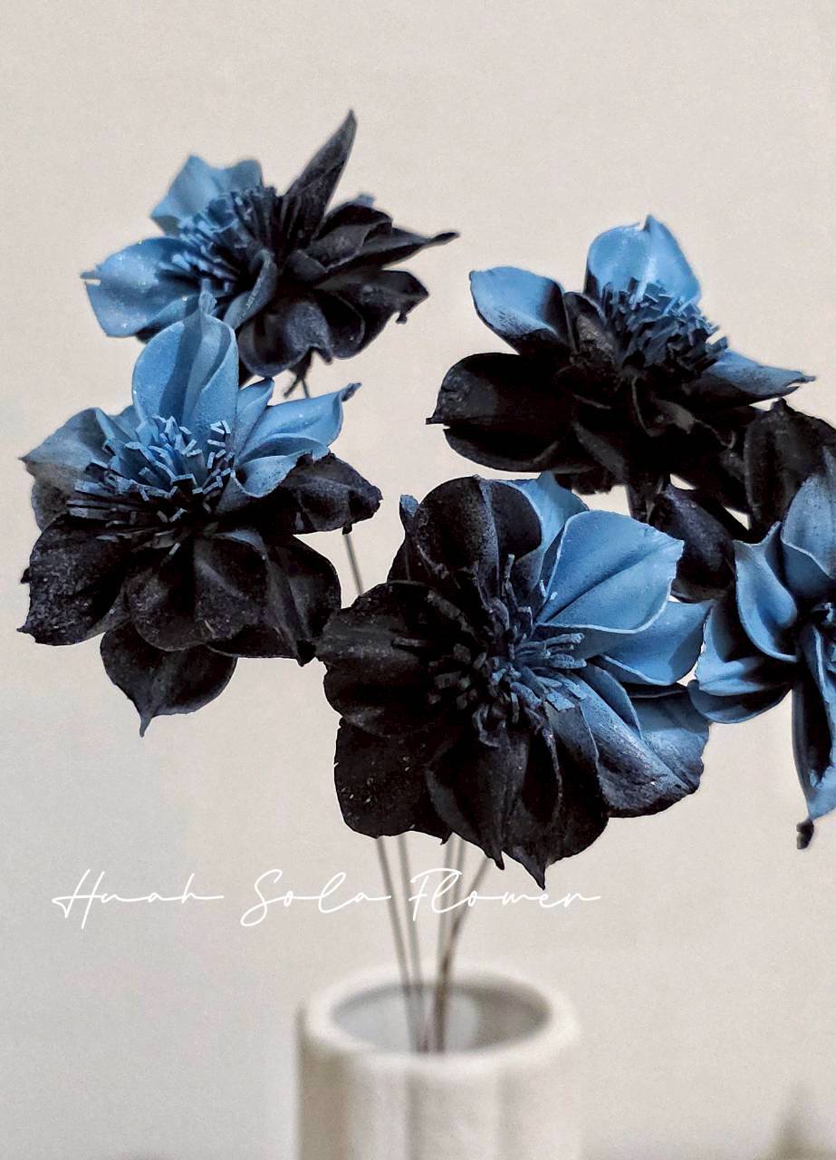 撞色 水仙 噴染 水染 索拉花 乾燥花 批發 婚禮 花束 DIY 材料