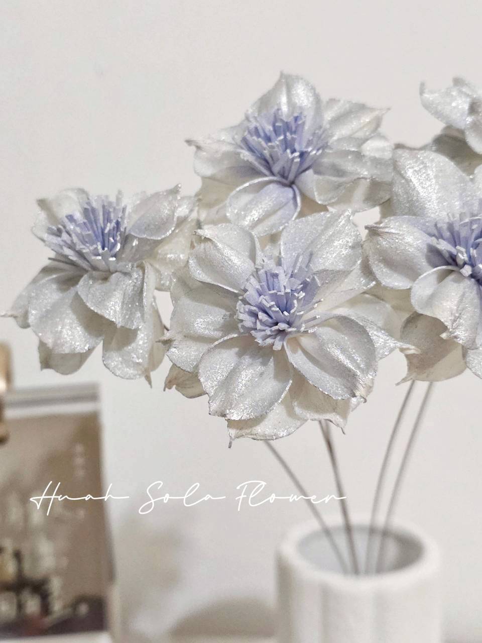 撞色 水仙 噴染 水染 索拉花 乾燥花 批發 婚禮 花束 DIY 材料