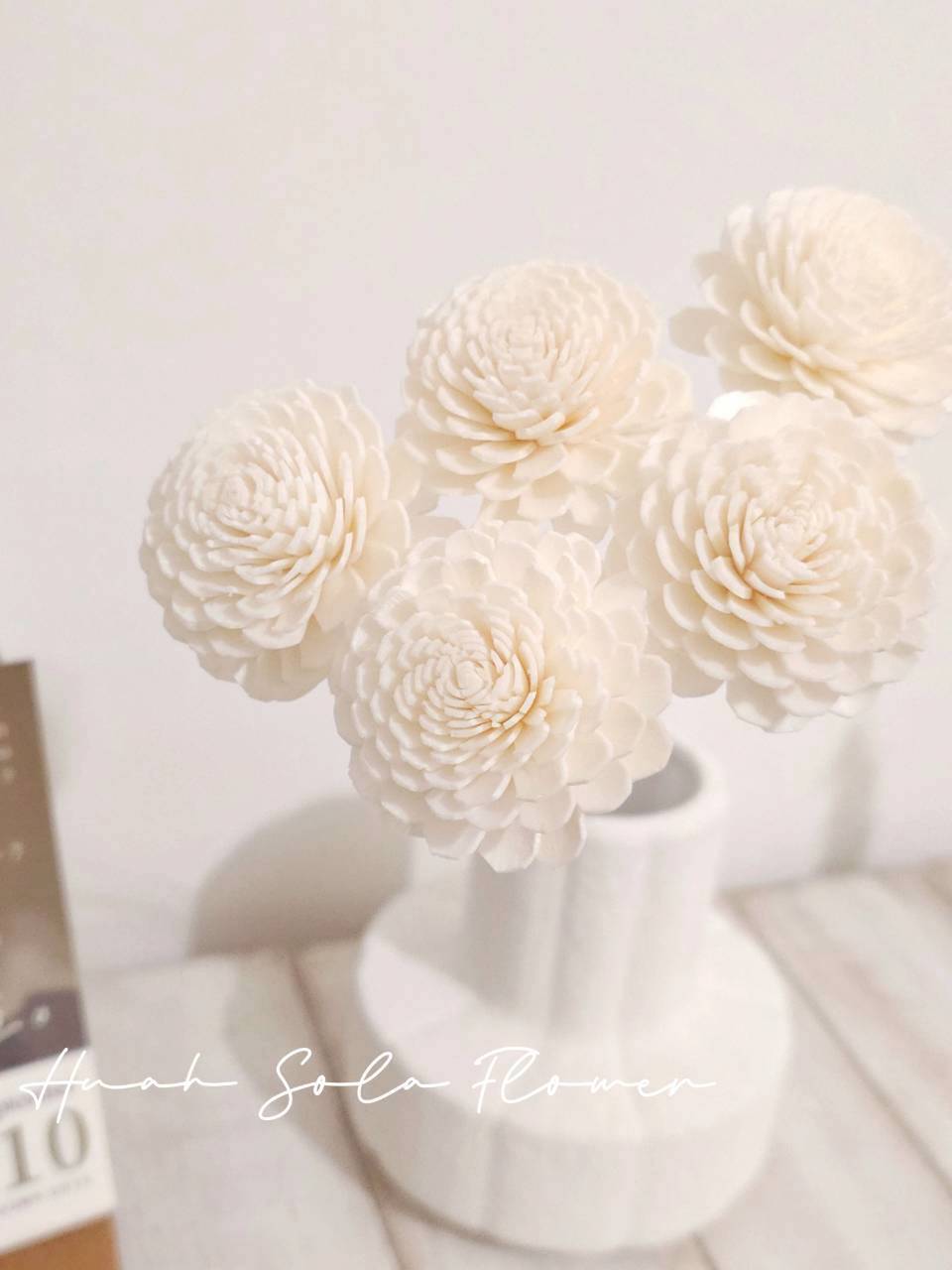 原色 太陽玫瑰 噴染 水染 索拉花 乾燥花 批發 婚禮 花束 DIY 材料