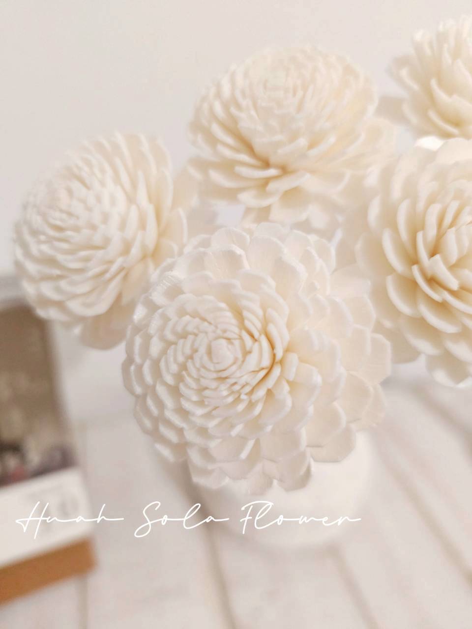 原色 太陽玫瑰 噴染 水染 索拉花 乾燥花 批發 婚禮 花束 DIY 材料