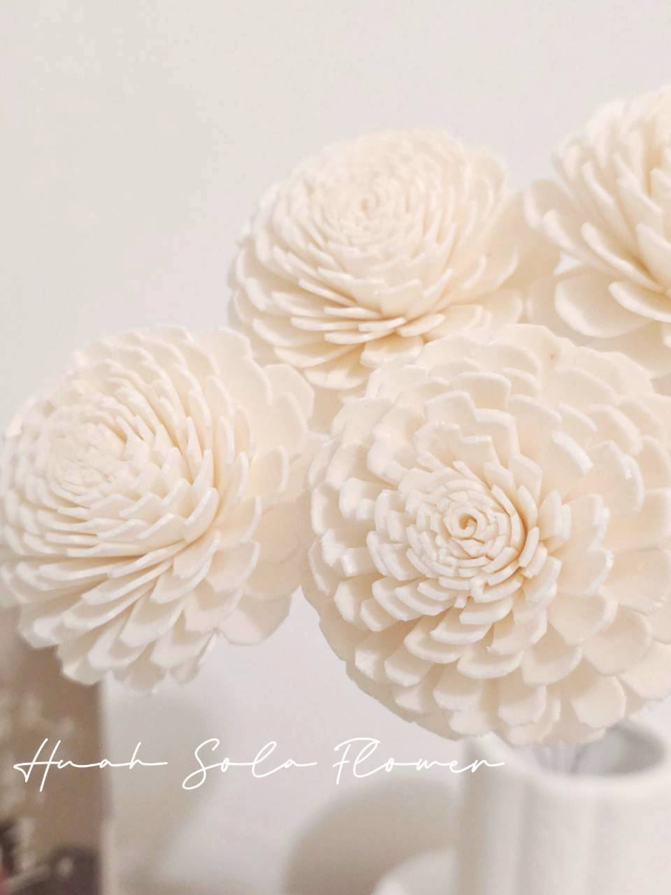 原色 太陽玫瑰 噴染 水染 索拉花 乾燥花 批發 婚禮 花束 DIY 材料