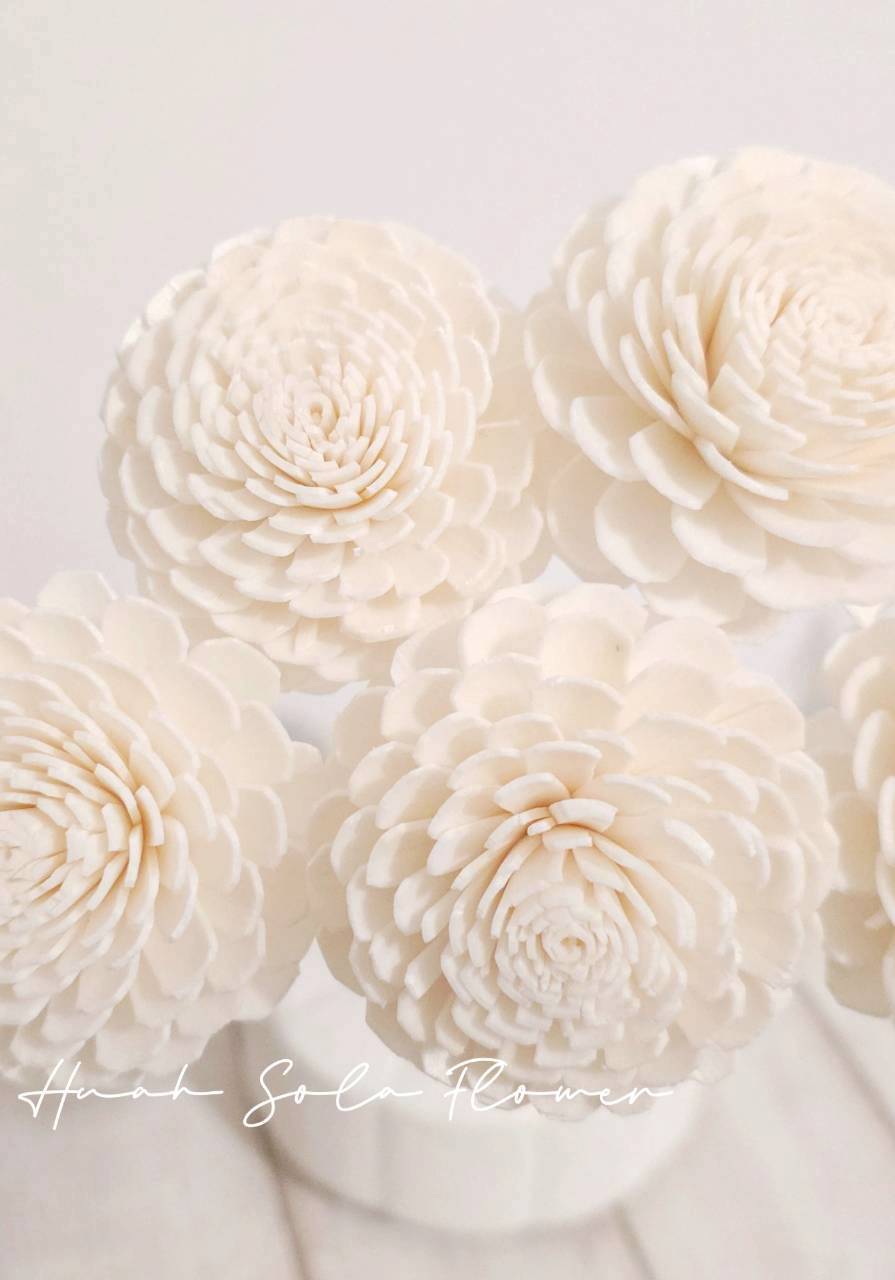 原色 太陽玫瑰 噴染 水染 索拉花 乾燥花 批發 婚禮 花束 DIY 材料