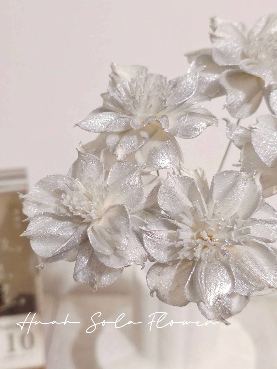 LINE_ALBUM_官網2_250908_103