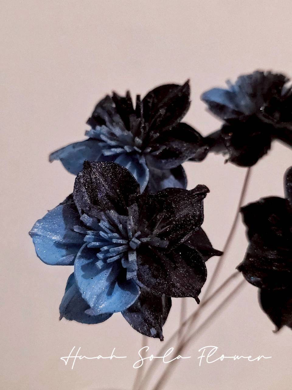 撞色 水仙花 噴染 索拉花 乾燥花 批發 婚禮 花束 DIY 材料