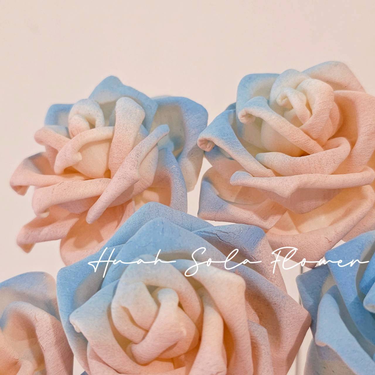 撞色 玫瑰 噴染 索拉花 乾燥花 批發 婚禮 花束 DIY 材料