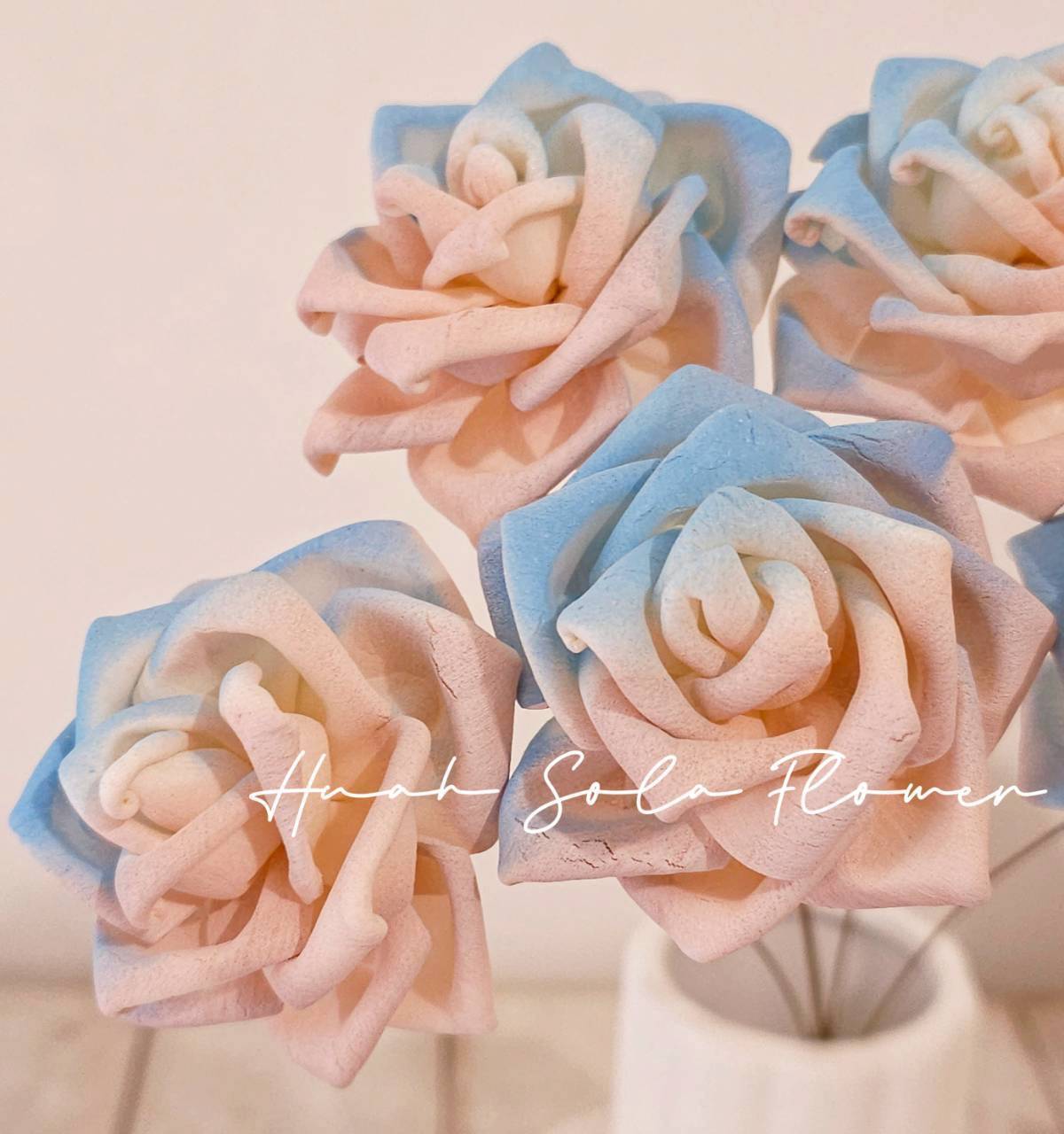 撞色 玫瑰 噴染 索拉花 乾燥花 批發 婚禮 花束 DIY 材料