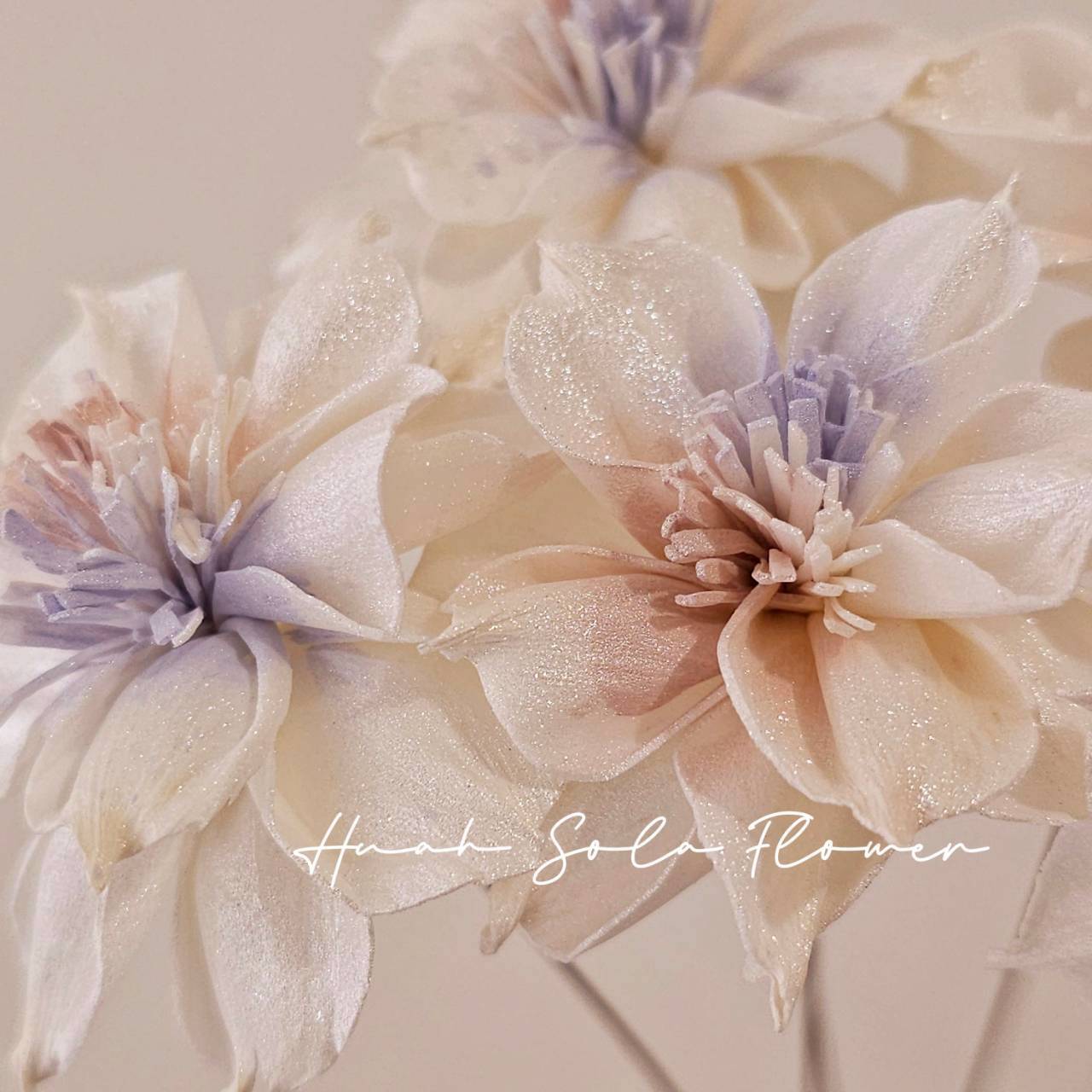 撞色 水仙花 噴染 索拉花 乾燥花 批發 婚禮 花束 DIY 材料