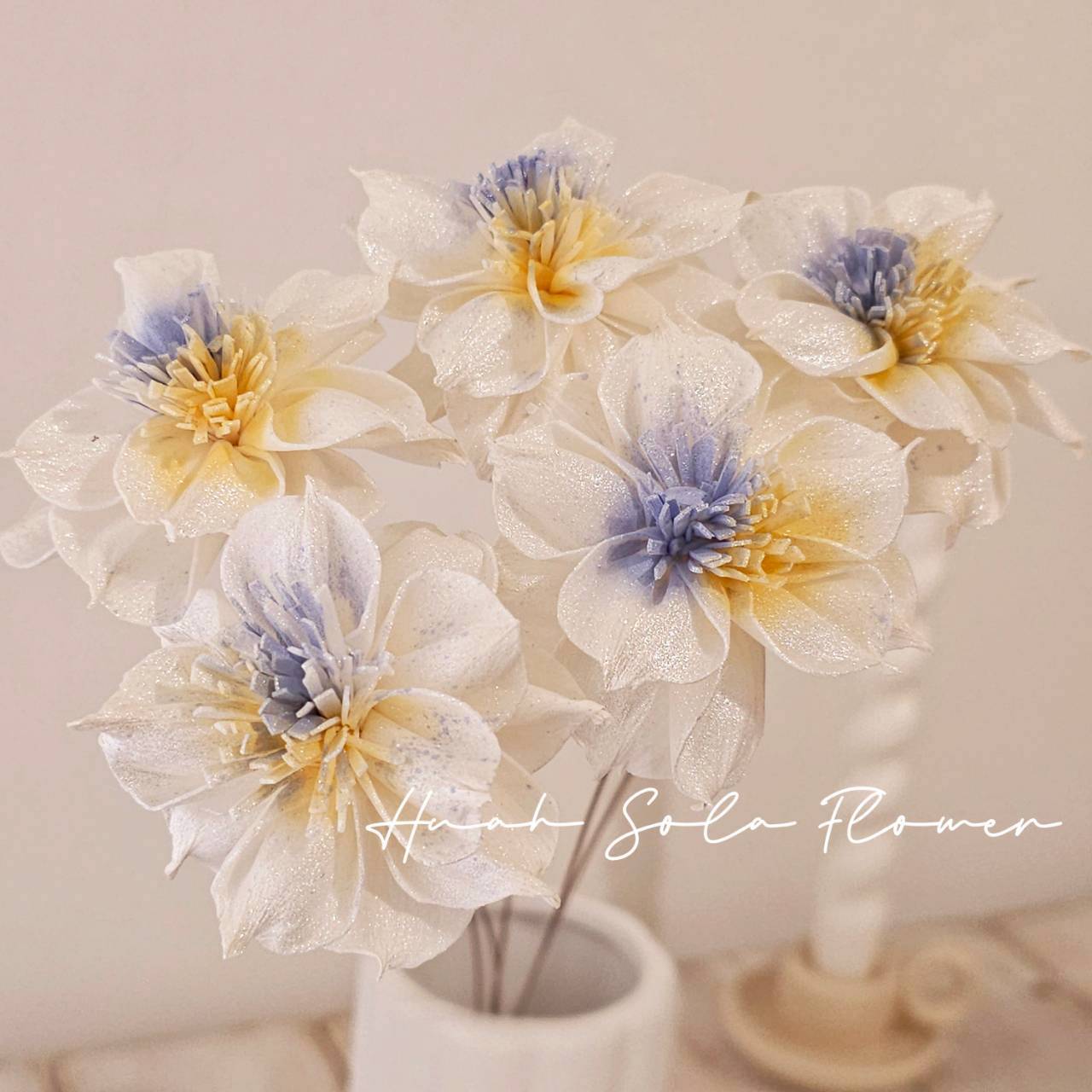 撞色 水仙花 噴染 索拉花 乾燥花 批發 婚禮 花束 DIY 材料