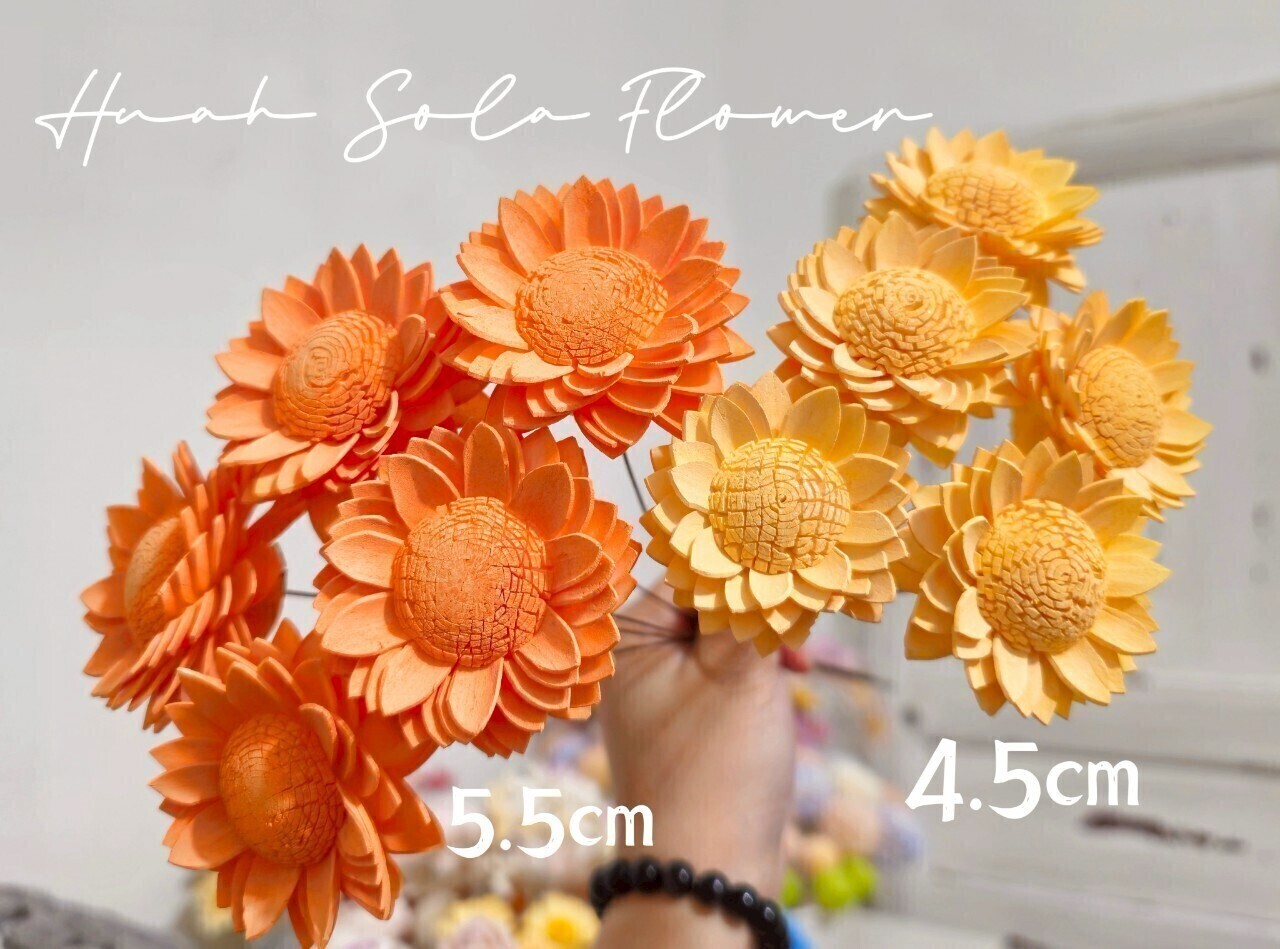 撞色 向日葵 噴染 索拉花 乾燥花 批發 婚禮 花束 DIY 材料