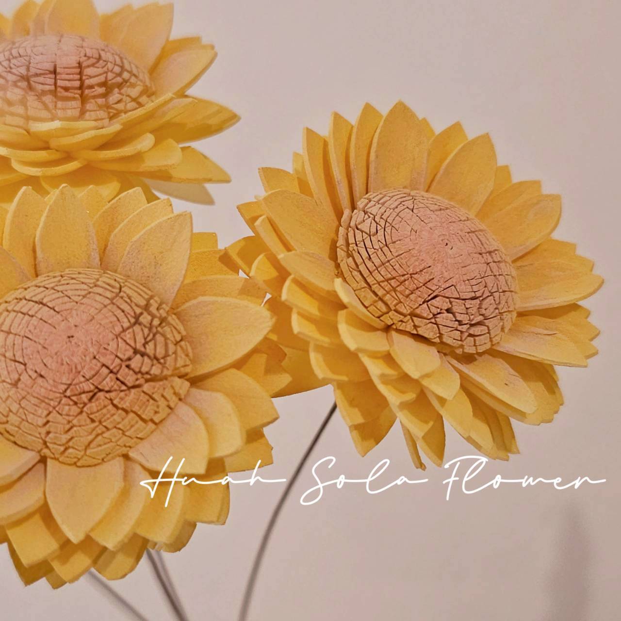 撞色 向日葵 噴染 索拉花 乾燥花 批發 婚禮 花束 DIY 材料