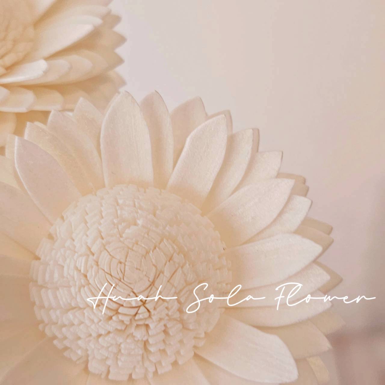 LINE_ALBUM_官網3_250918_85