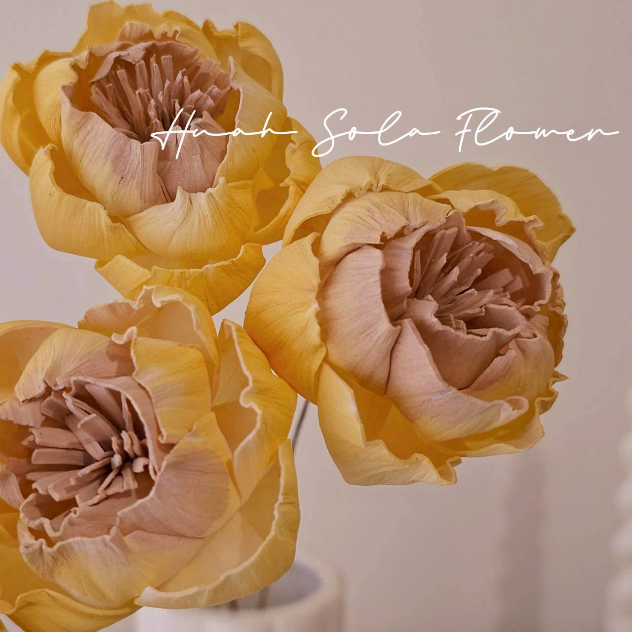 撞色 牧丹花 噴染 索拉花 乾燥花 批發 婚禮 花束 DIY 材料