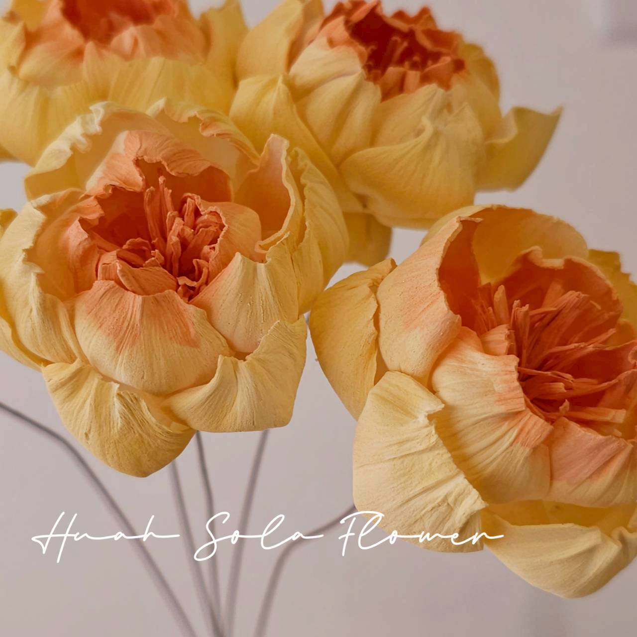 橘黃色 牧丹花 噴染 索拉花 乾燥花 批發 婚禮 花束 DIY 材料