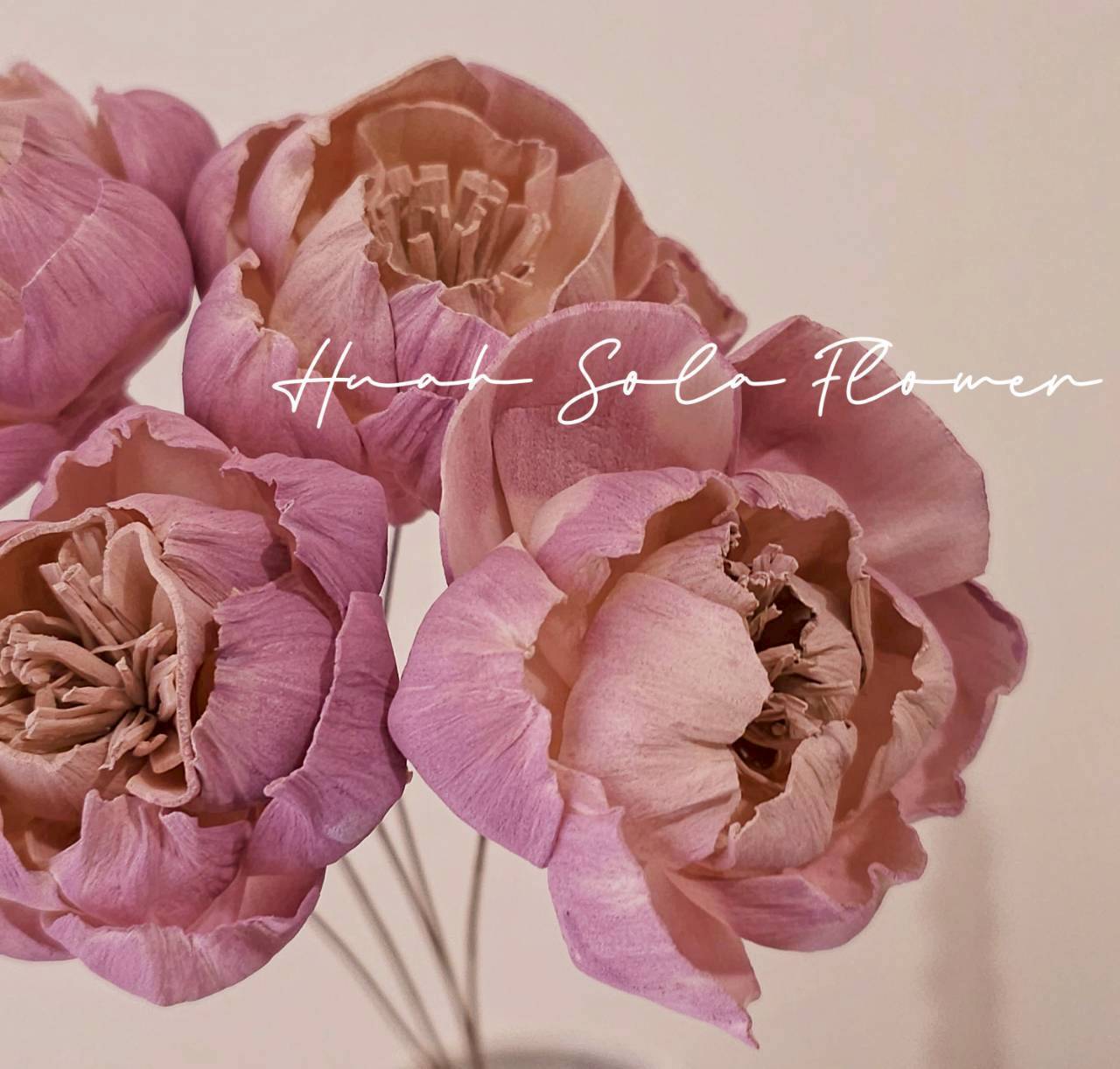 LINE_ALBUM_官網3_250918_73