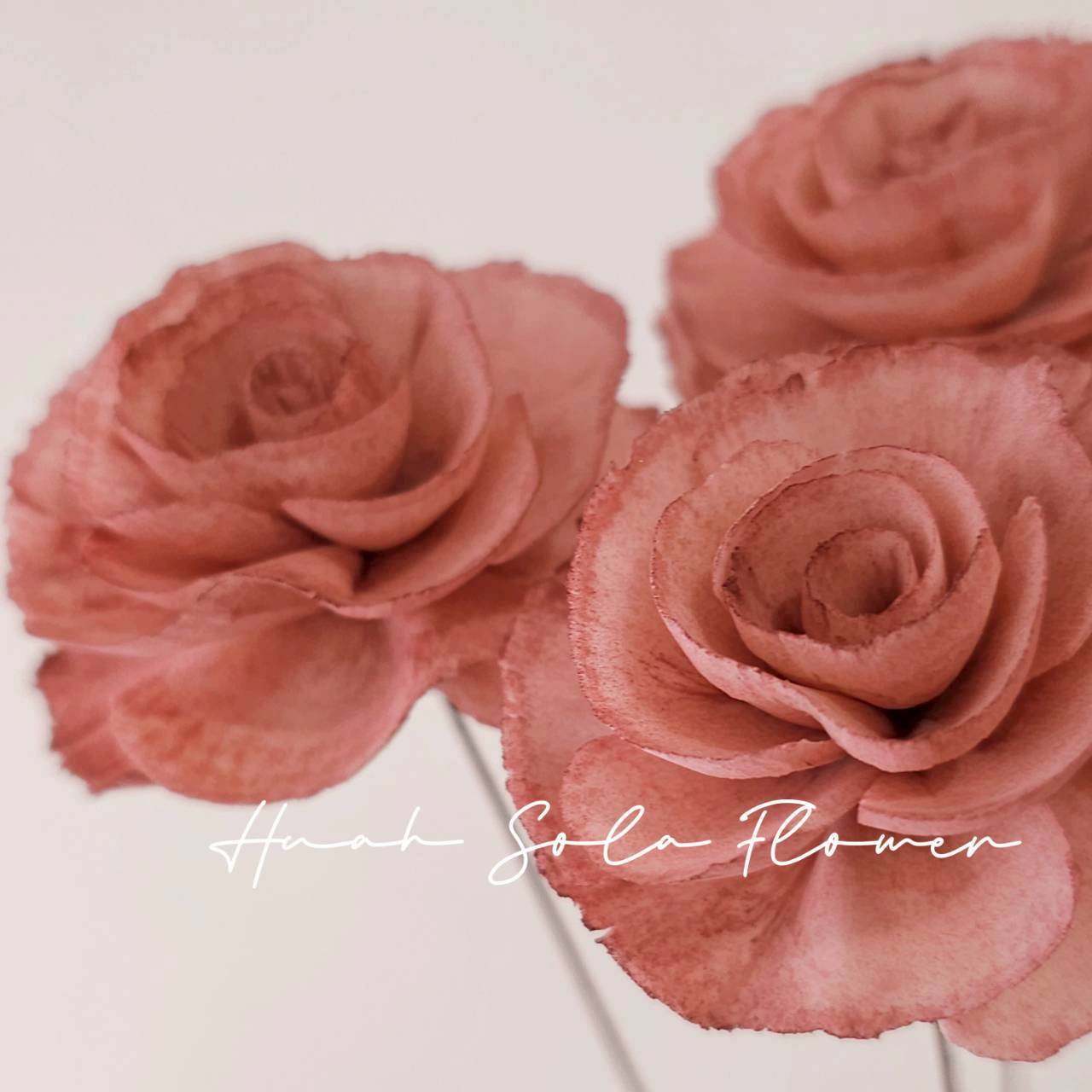 粉色 玻斯玫瑰 水染 索拉花 乾燥花 批發 婚禮 花束 DIY 材料