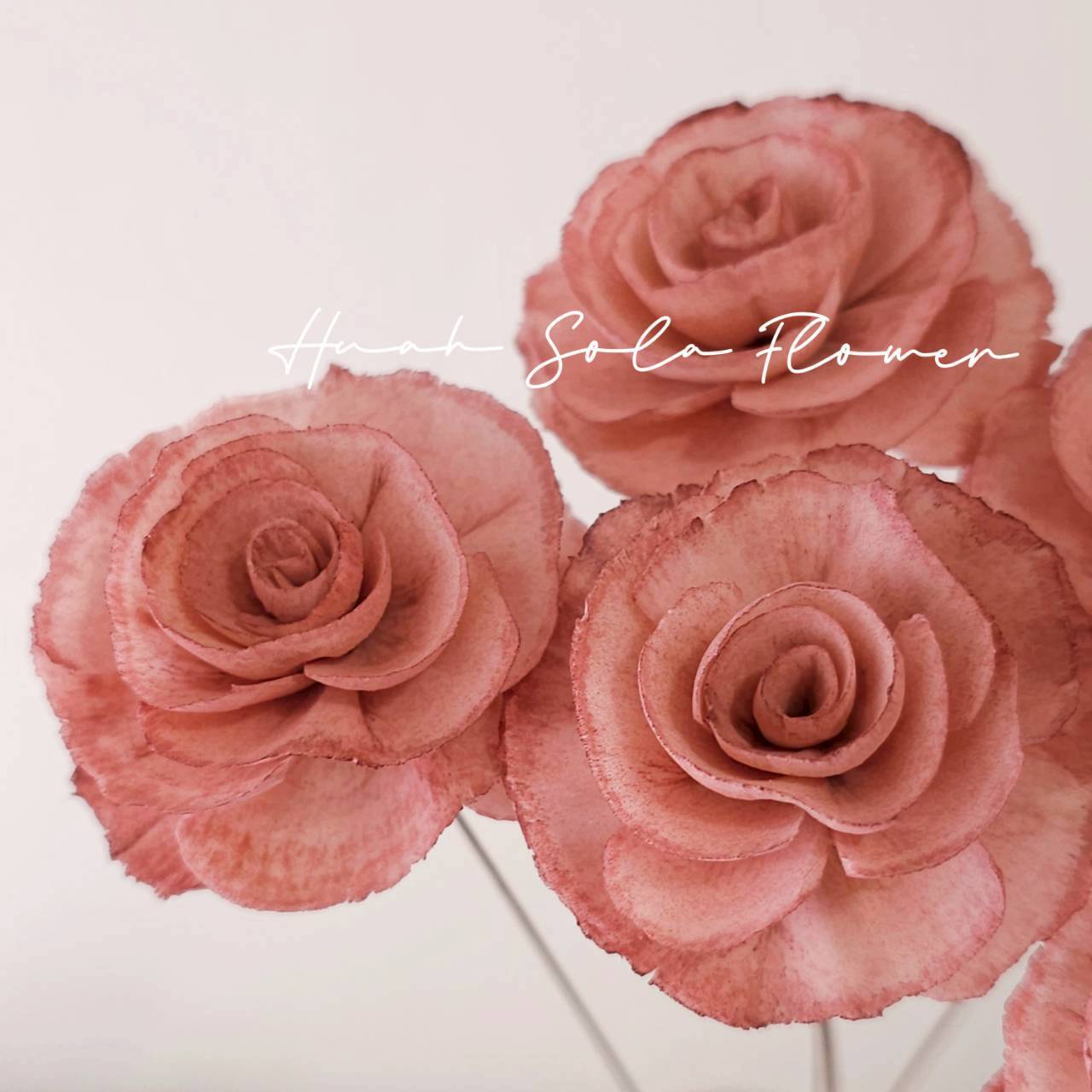 粉色 玻斯玫瑰 水染 索拉花 乾燥花 批發 婚禮 花束 DIY 材料