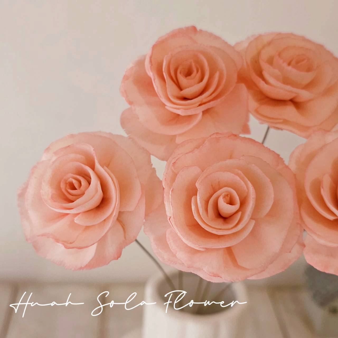 粉色 玻斯玫瑰 水染 索拉花 乾燥花 批發 婚禮 花束 DIY 材料