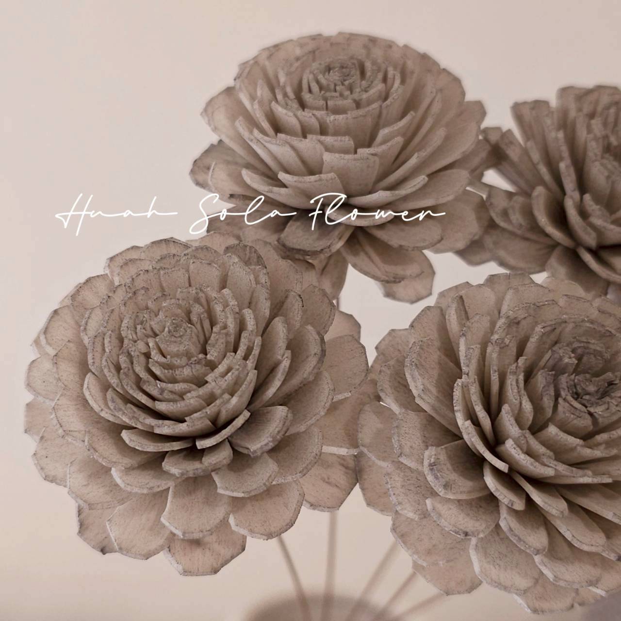 灰色 太陽玫瑰 水染 索拉花 乾燥花 批發 婚禮 花束 DIY 材料