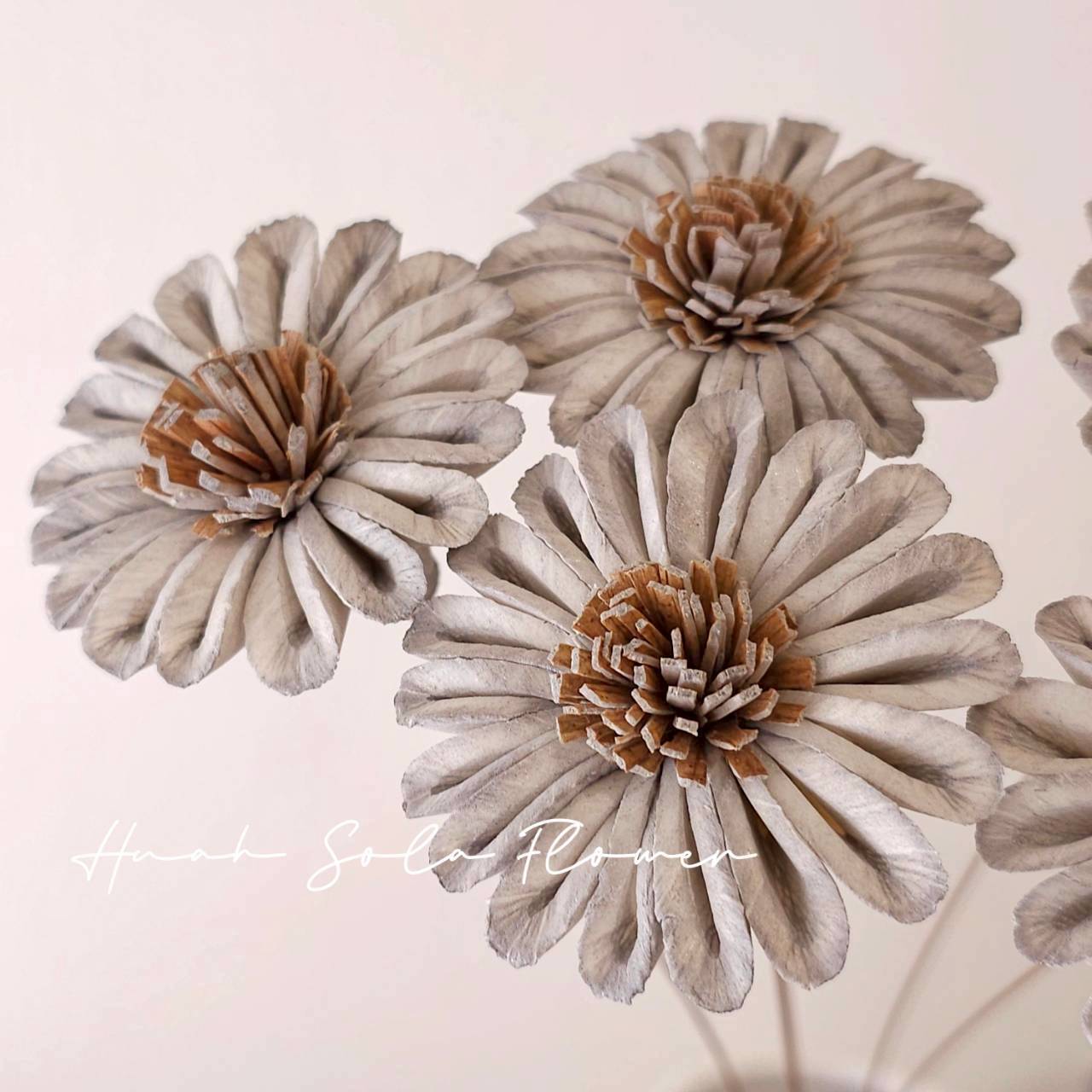 灰色 太陽花 水染 索拉花 乾燥花 批發 婚禮 花束 DIY 材料