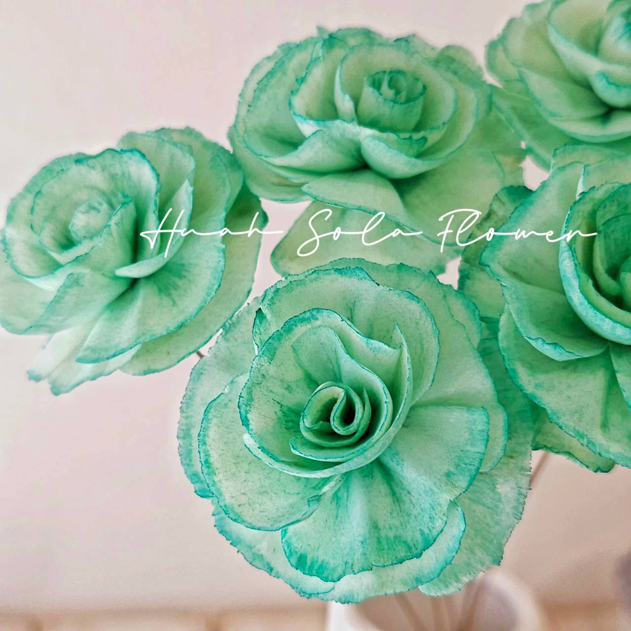 綠色 玻斯玫瑰 水染 索拉花 乾燥花 批發 婚禮 花束 DIY 材料