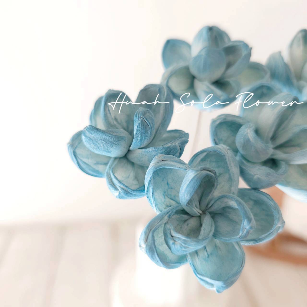 藍色 茉莉花 水染 索拉花 乾燥花 批發 婚禮 花束 DIY 材料