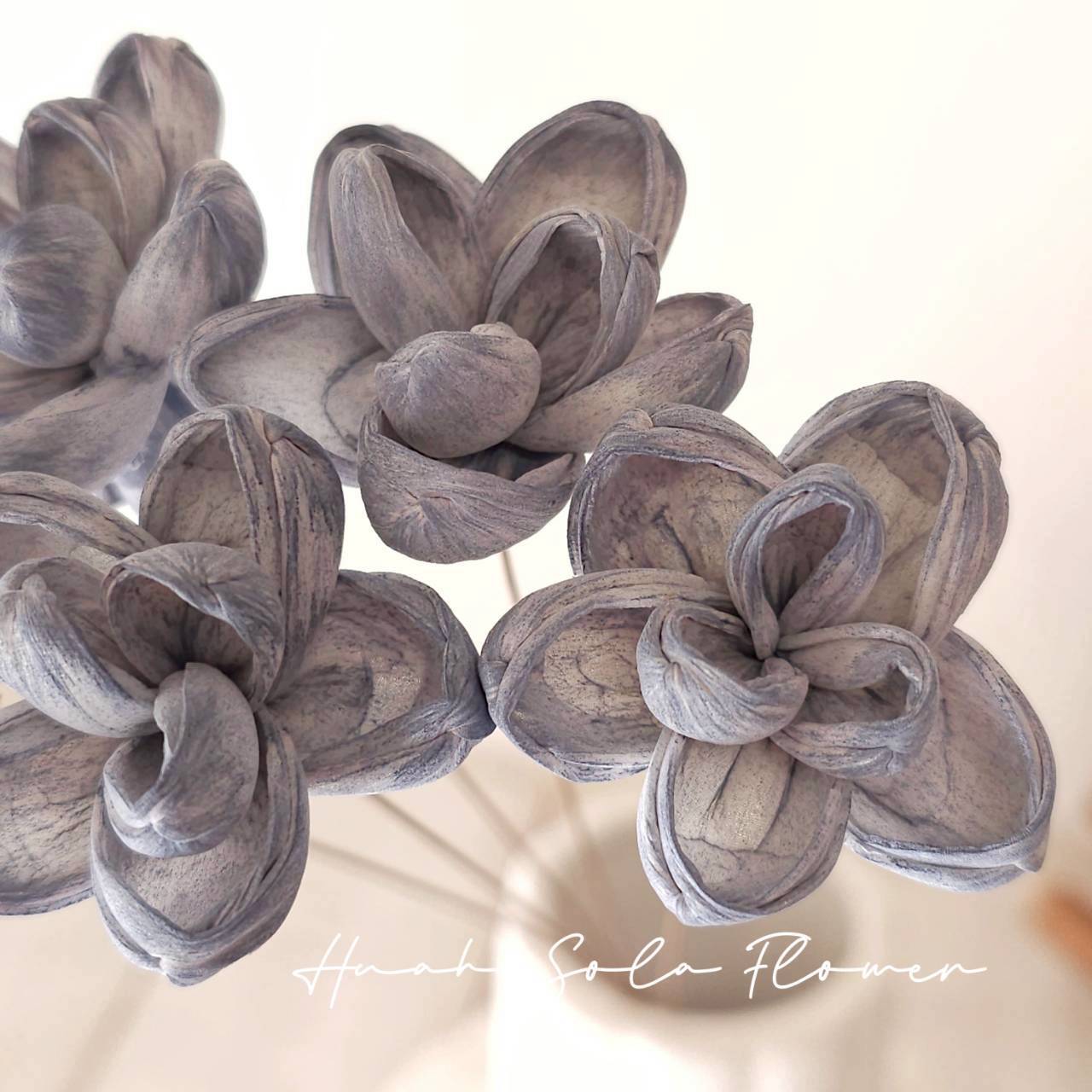 藍色 茉莉花 水染 索拉花 乾燥花 批發 婚禮 花束 DIY 材料