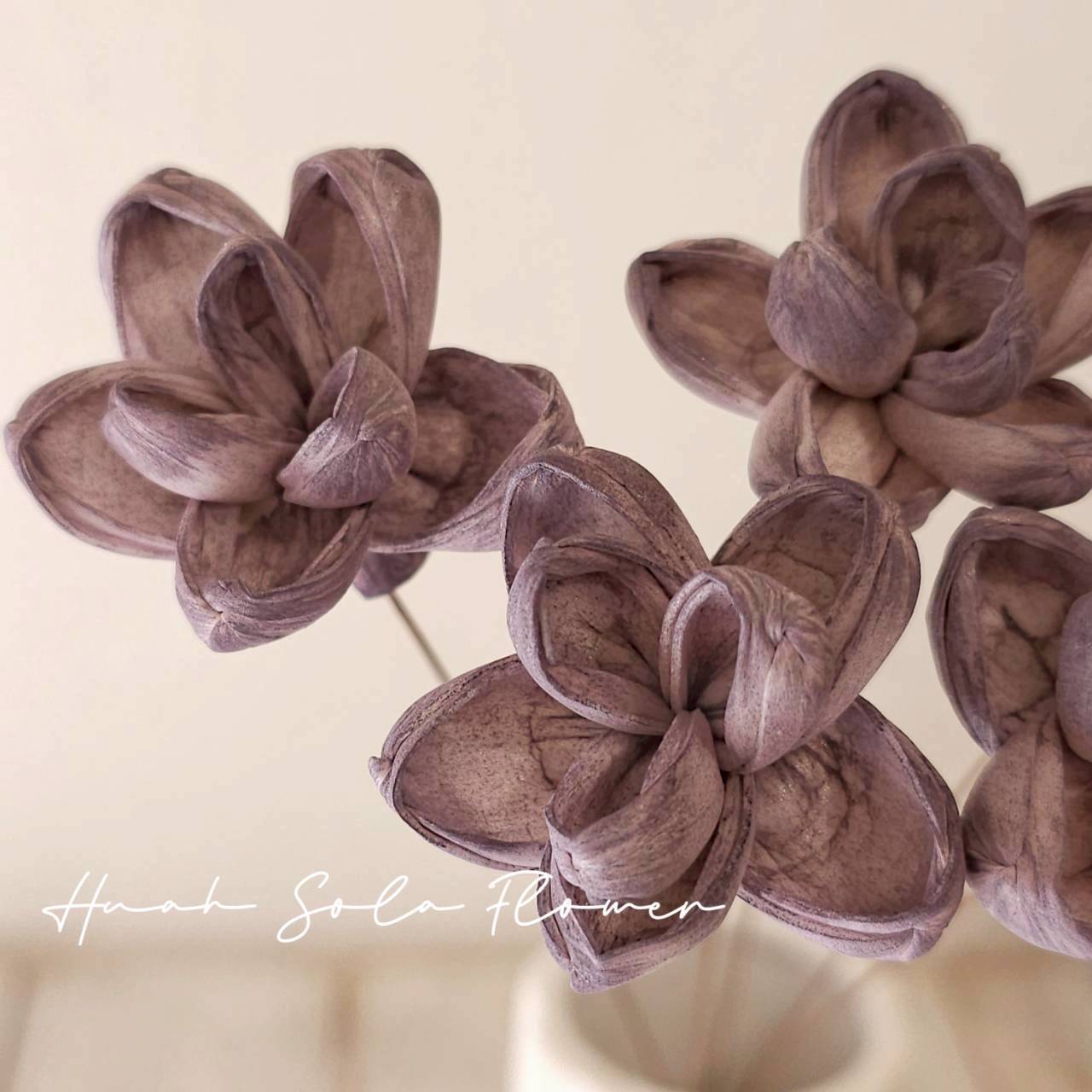 LINE_ALBUM_官網3_250918_36