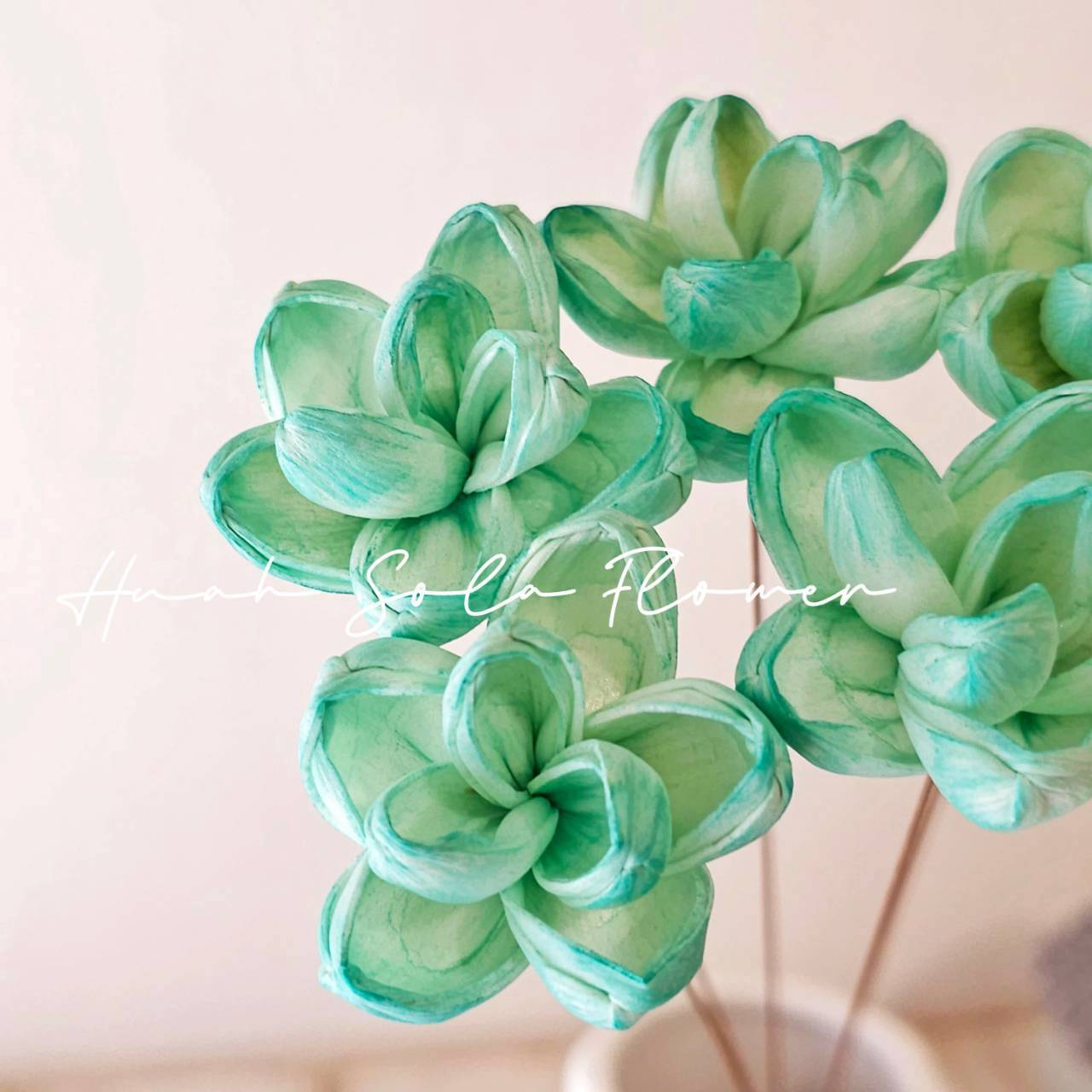 綠色 茉莉花 水染 索拉花 乾燥花 批發 婚禮 花束 DIY 材料