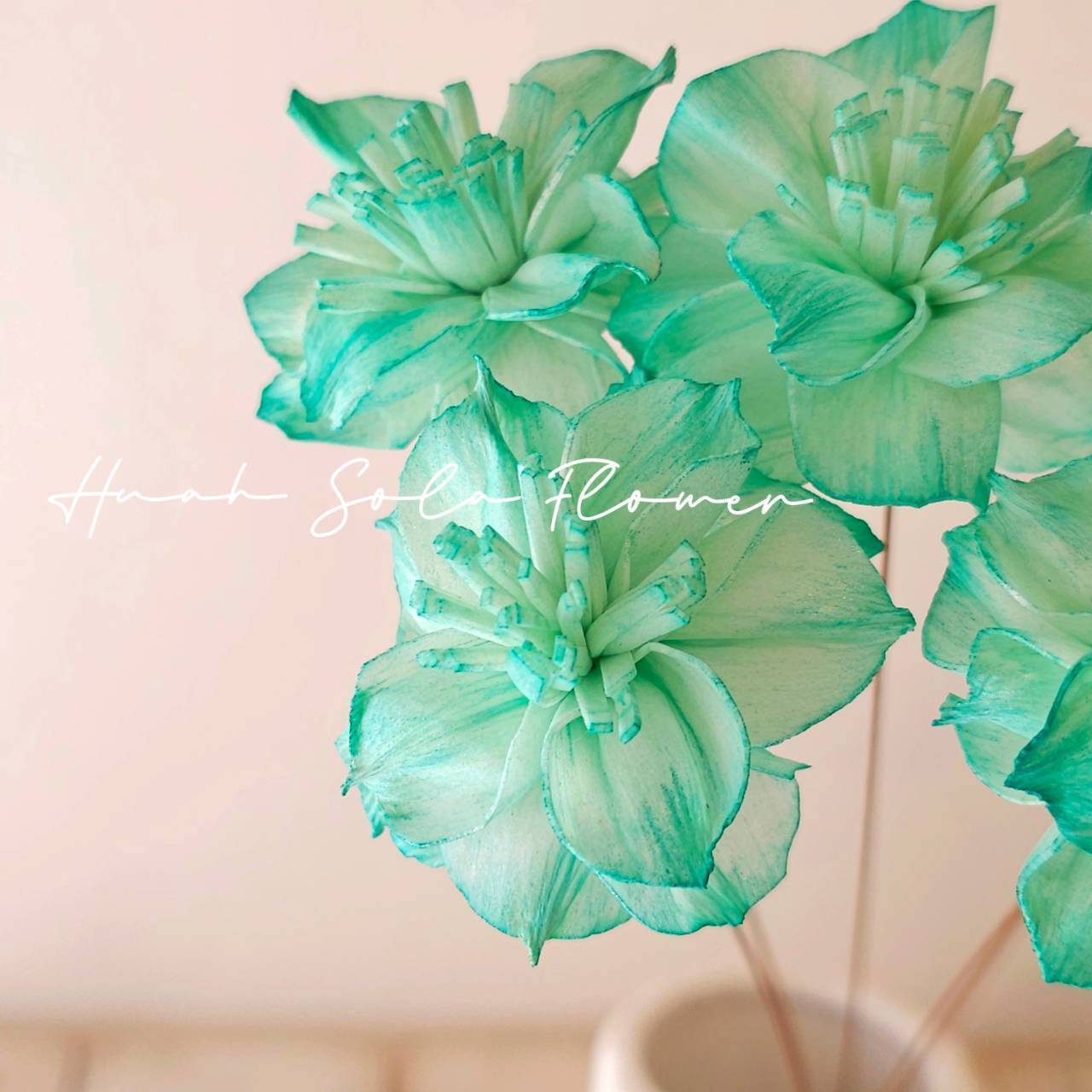 綠色 水染 水仙花 索拉花 乾燥花 批發 婚禮 花束 DIY 材料