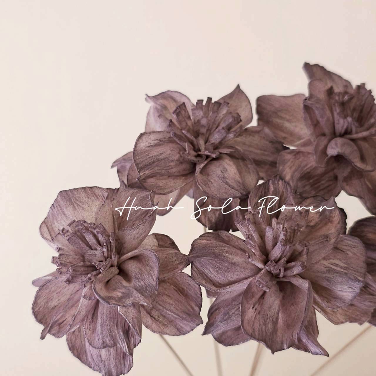 紫色 水染 水仙花 索拉花 乾燥花 批發 婚禮 花束 DIY 材料